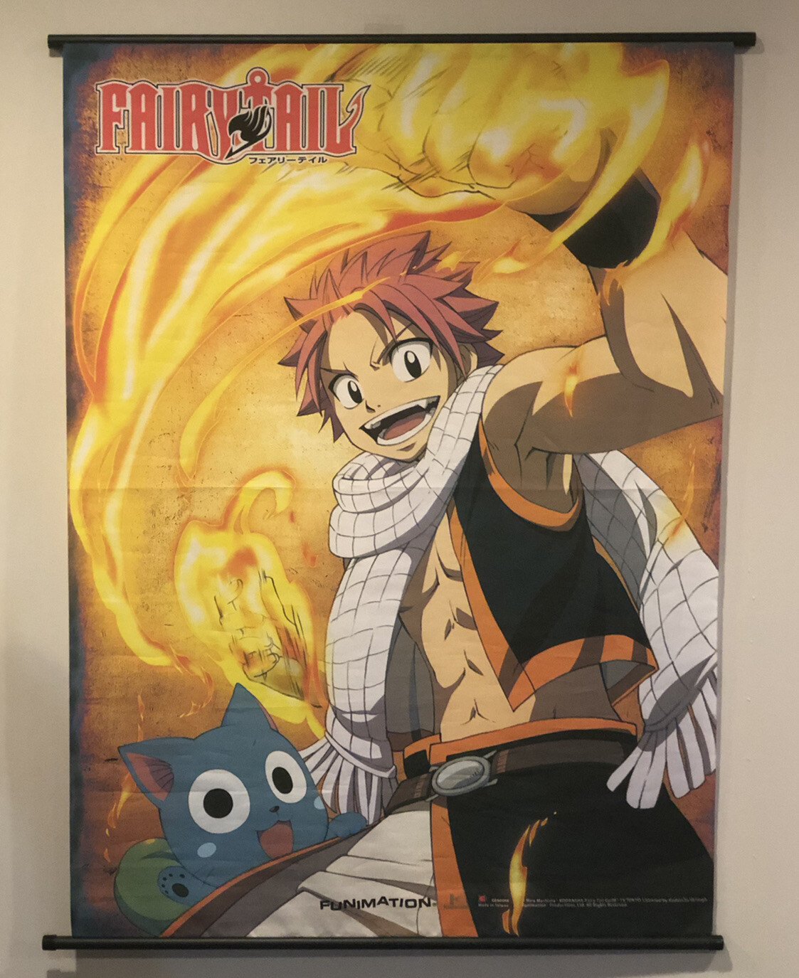 Fairy Tail Banner Hiro Mashima Cloth Hanging Banner 31”x43” Funimation Good Cond