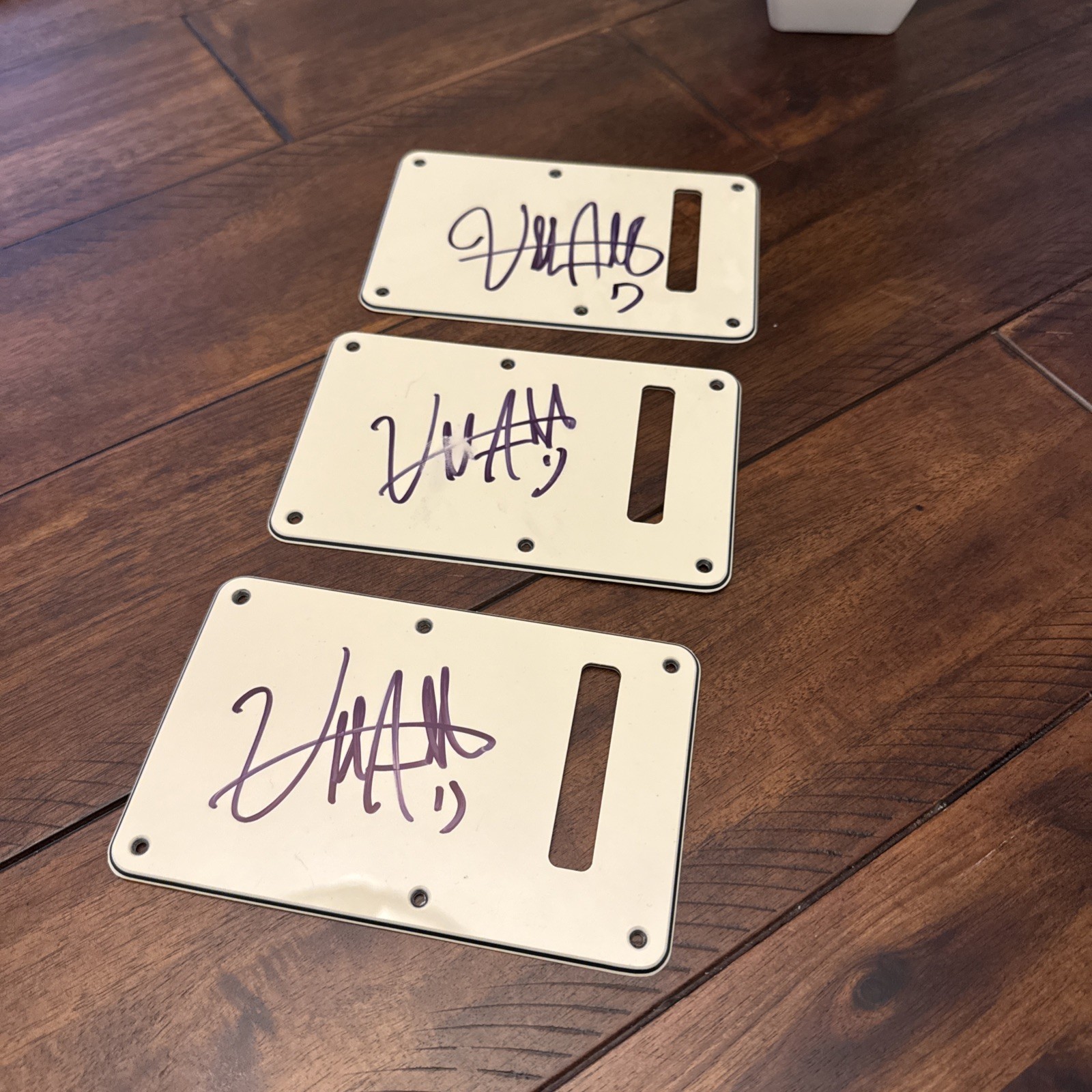 Billy Strings Signed Fender Guitar Back Plate Bluegrass Autographed w/COA Proof