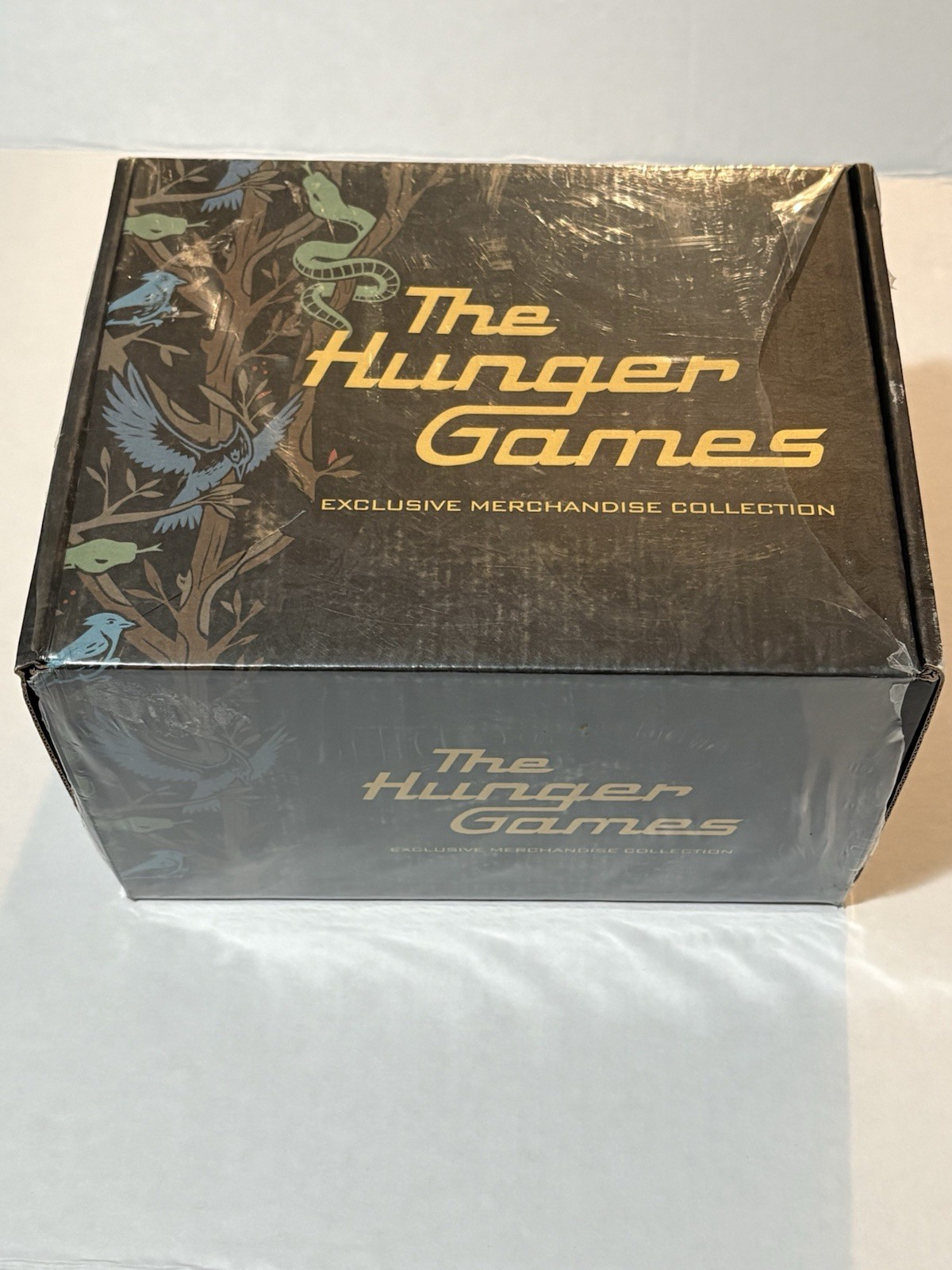 The Hunger Games Exclusive Merchandise Box Items Collection
