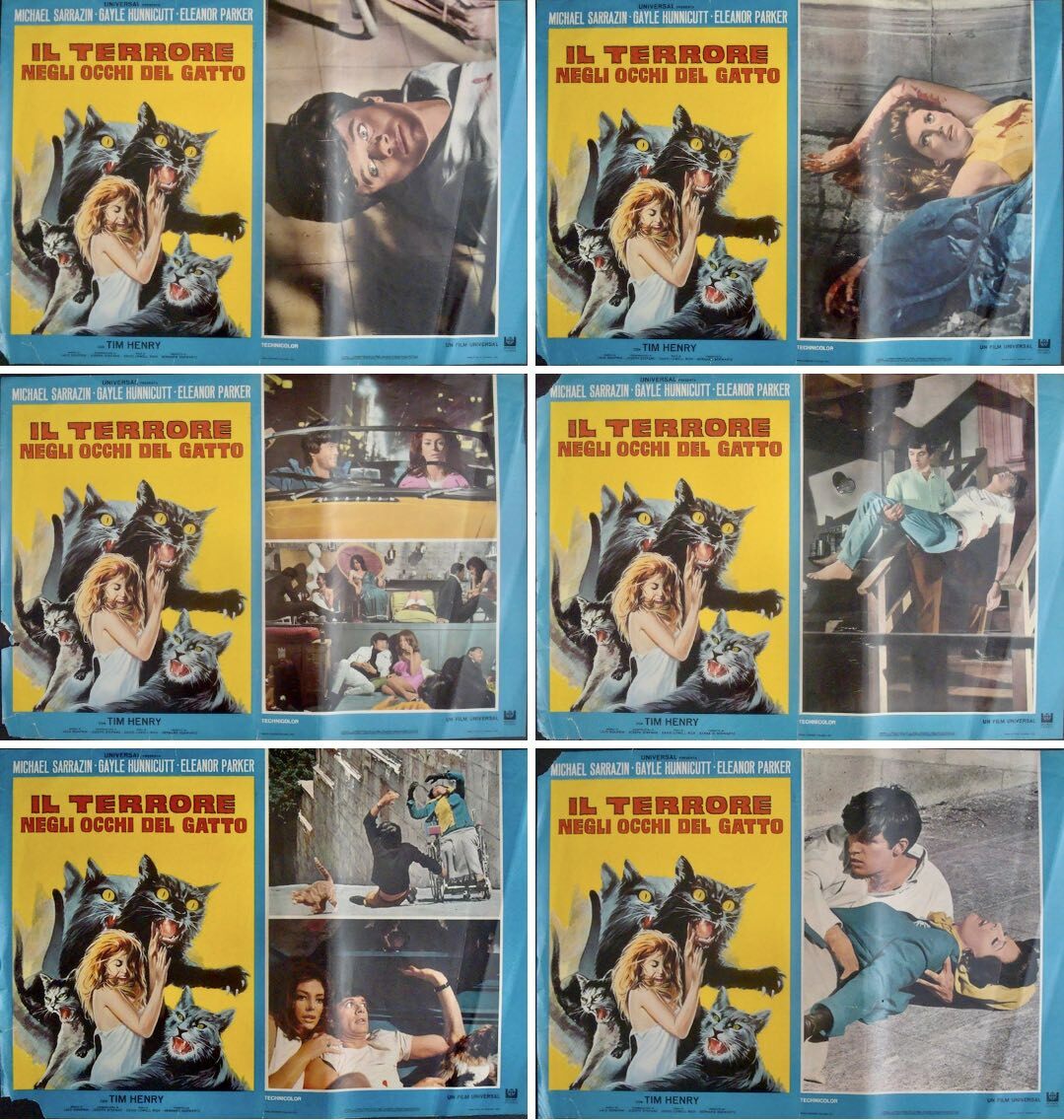 EYE OF THE CAT Italian fotobusta movie posters x6 GAYLE HUNNICUT 1969