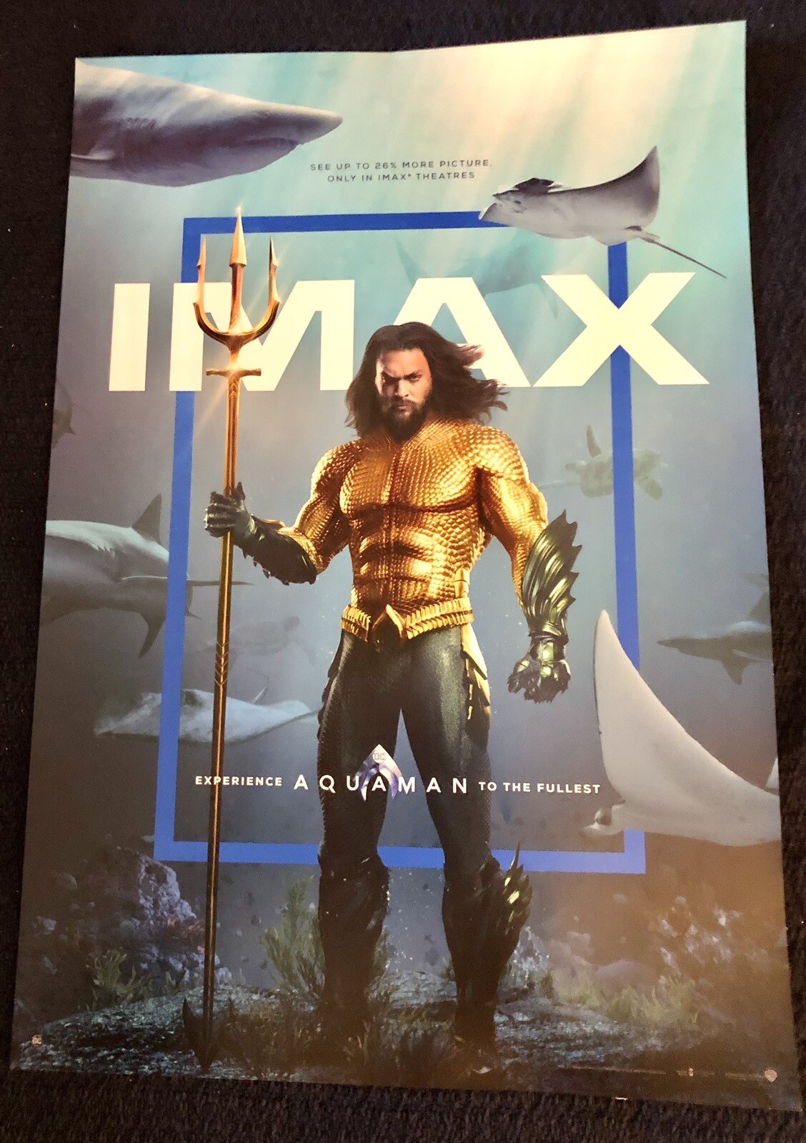 Aquaman (2018) Official Original IMAX Movie Premiere Promo Poster – Jason Momoa