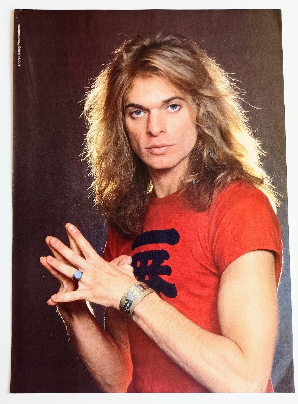 VAN HALEN~DAVID LEE ROTH~ORIG 1980s POSTER~VINTAGE PRINT MAGAZINE PINUP CLIPPING