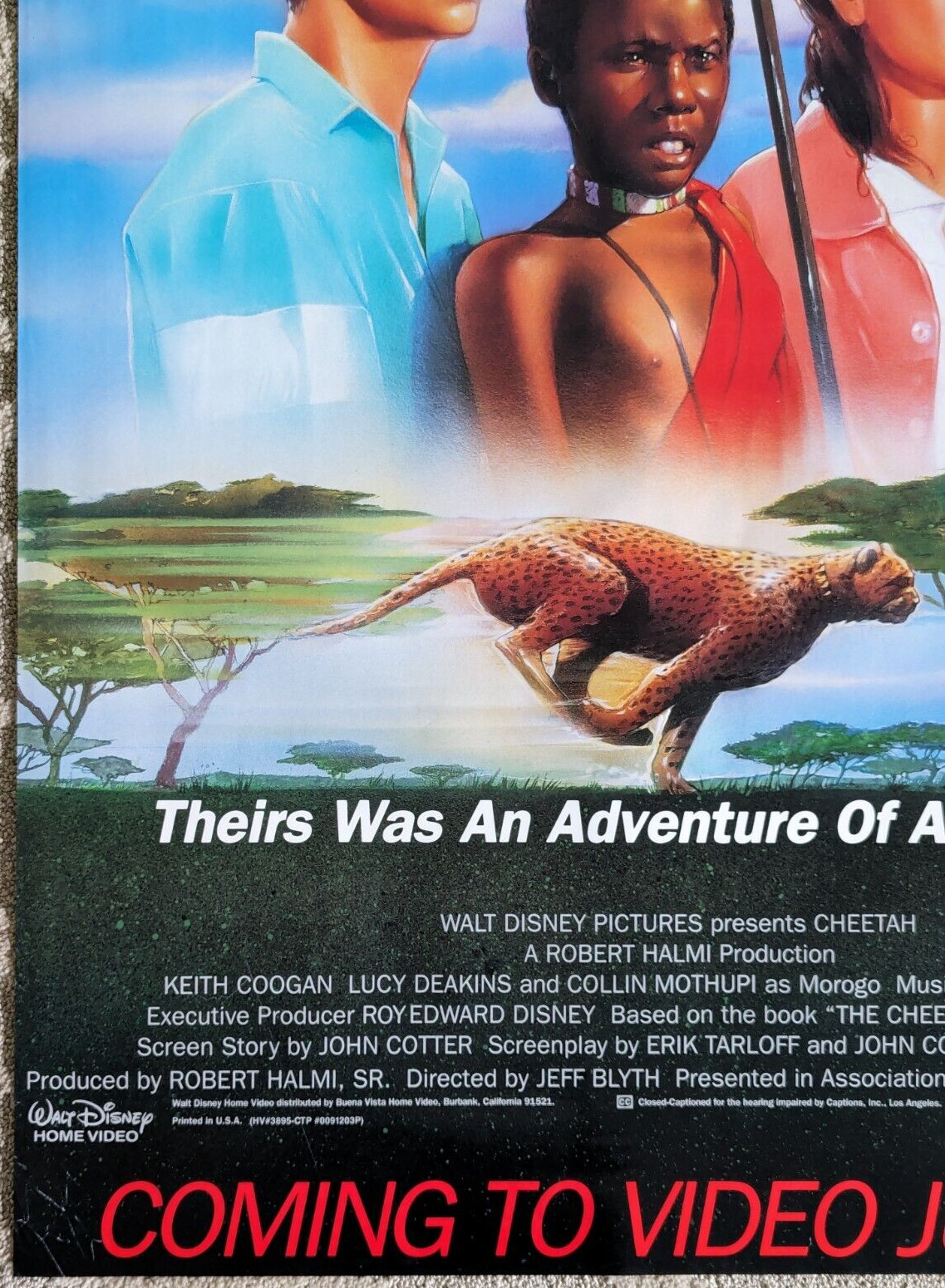 Walt Disney’s Cheetah 1989 Home Video Movie Poster 26X40 Rolled 1 Sheet