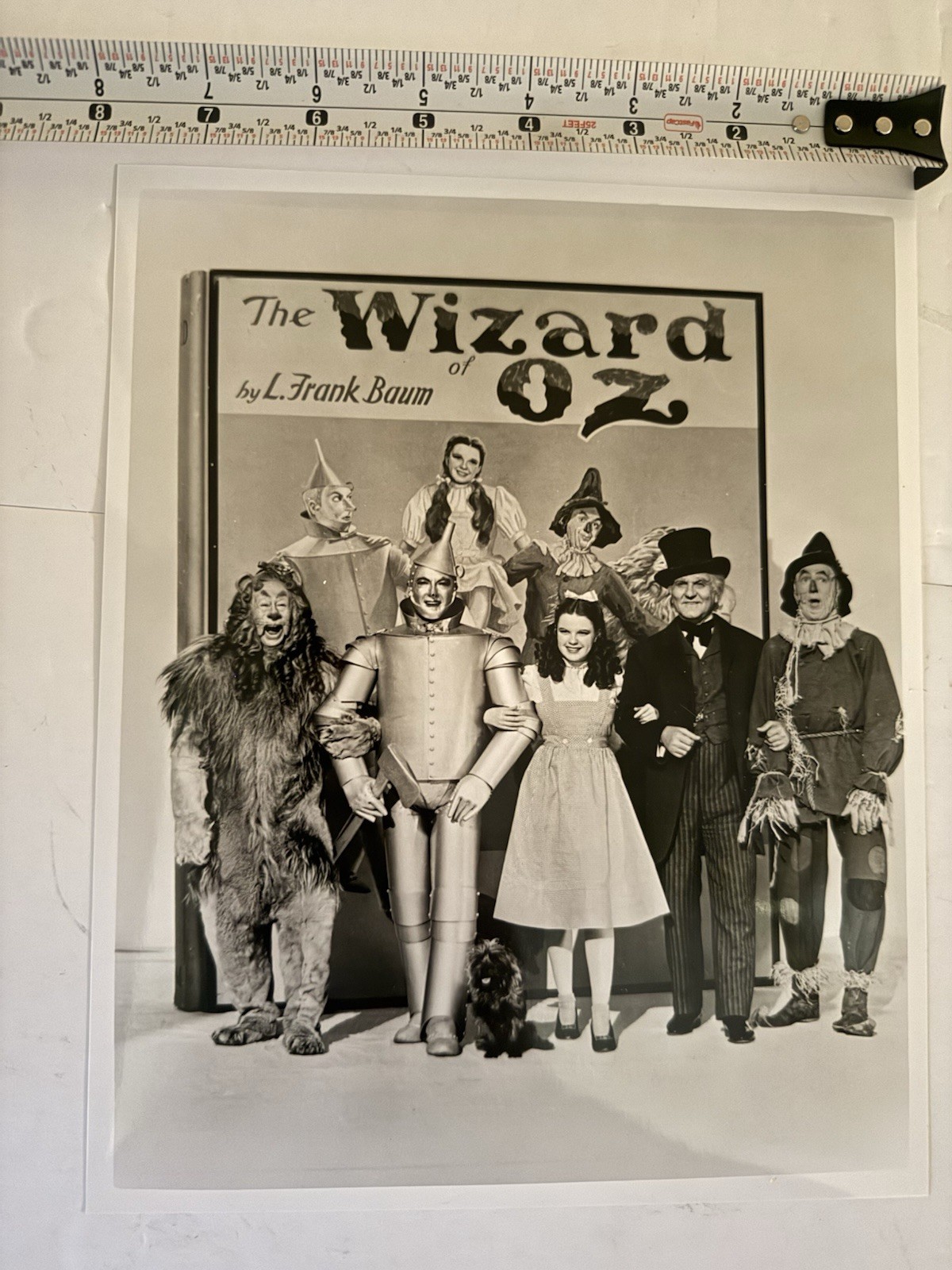 16 Wizard Of Oz Black And White 8×10 Movie & Offset Picture Photo Prints
