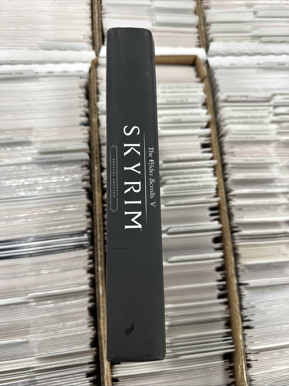 The Elder Scrolls V: Skyrim – Special Edition