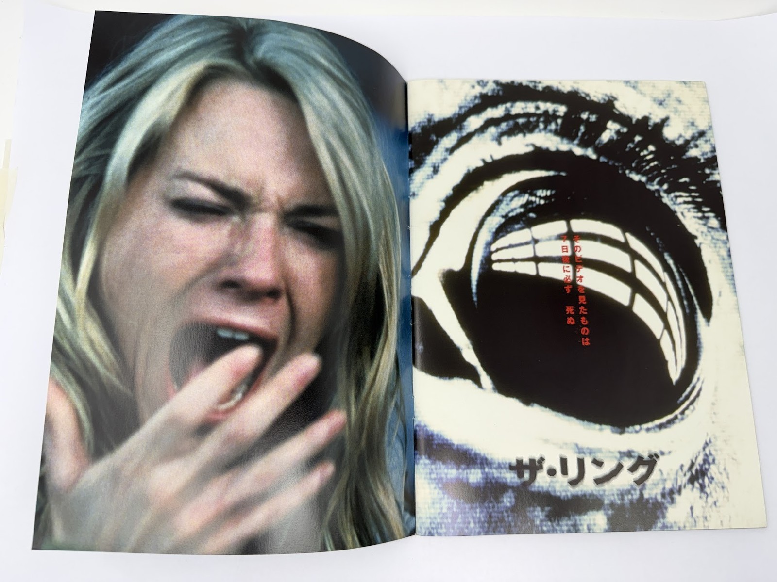The Ring (2002) Japanese Movie Program Brochure – Naomi Watts, Martin Henderson