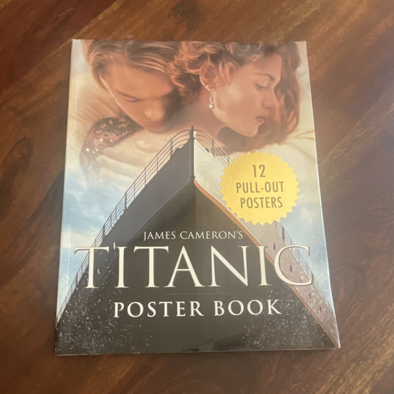 James Cameron’s Titanic Poster Book Paperback w/ 12 Pull-Out Posters Titan Books