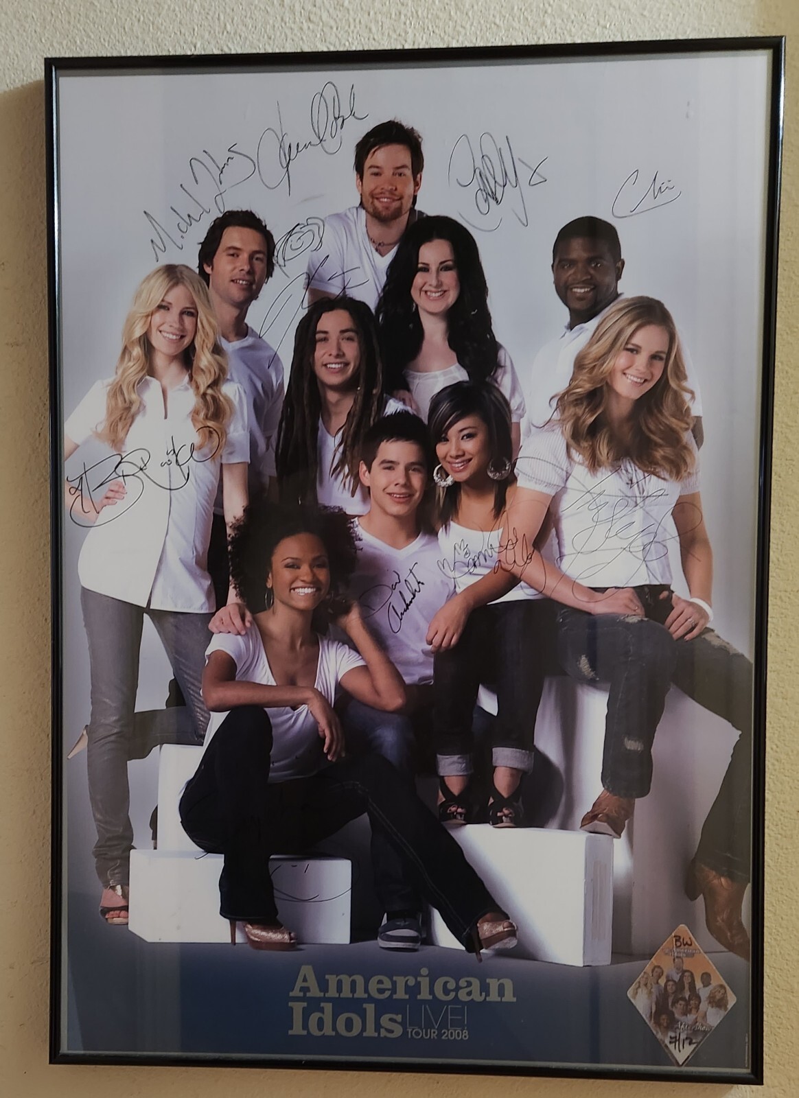 American Idols Live Tour 2008 Poster Signed Without Frame