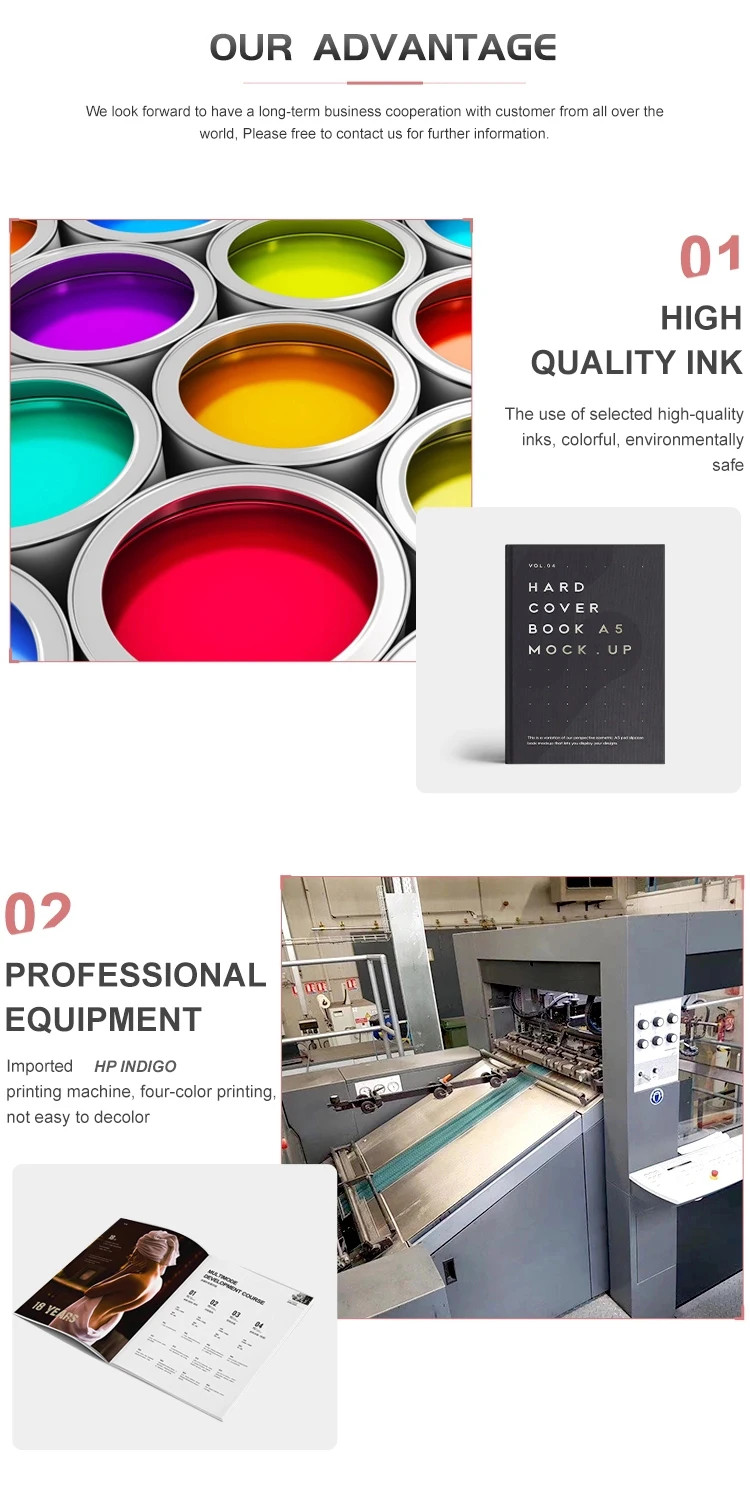 Custom Flyer Booklet Instruction Manual Pamphlet Menuel Design Brochure