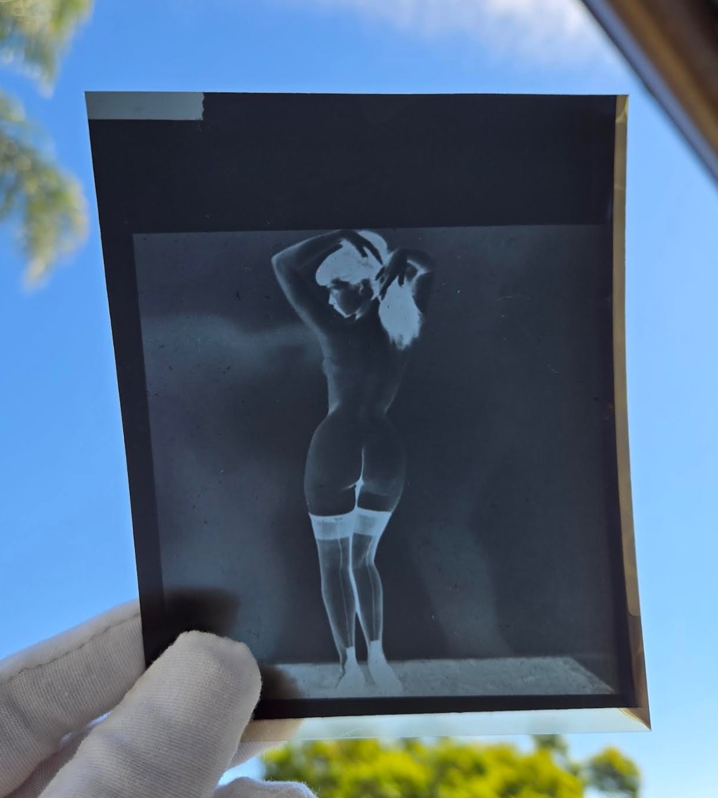 ORIGINAL C1959 VAMP ICON BETTIE PAGE NEGATIVE CASS CARR BUNNY YEAGER IRVING KLAW