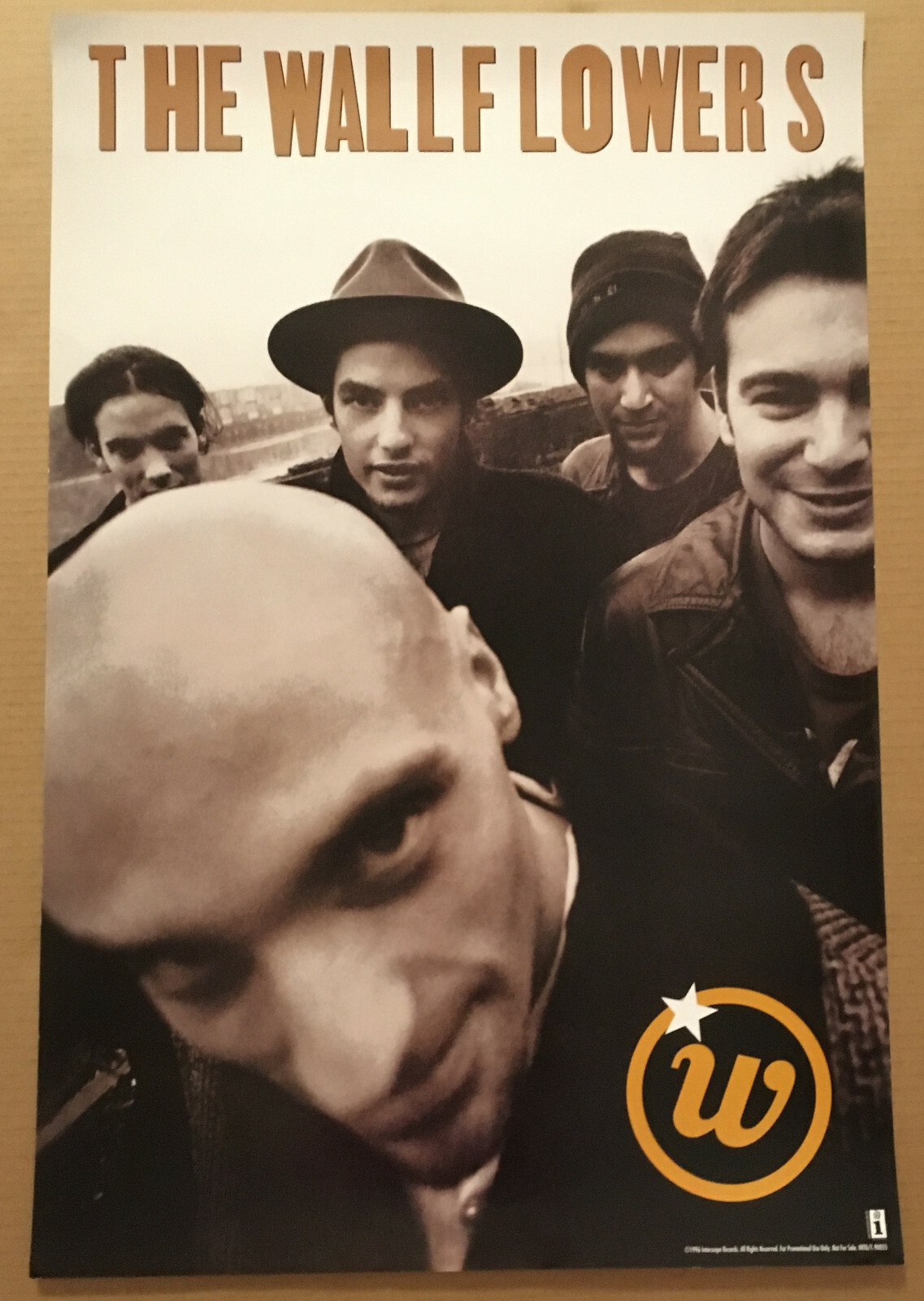 Jakob Dylan WALLFLOWERS Rare 1996 PROMO POSTER of Horse CD 20×30 NEVER DISPLAYED