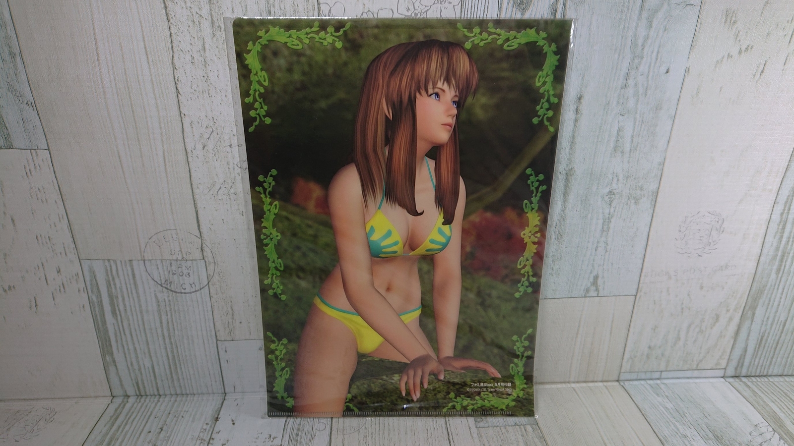 Dead or Alive Extreme Beach Volleyball Clear File Set of 4 Kasumi Ayane USED