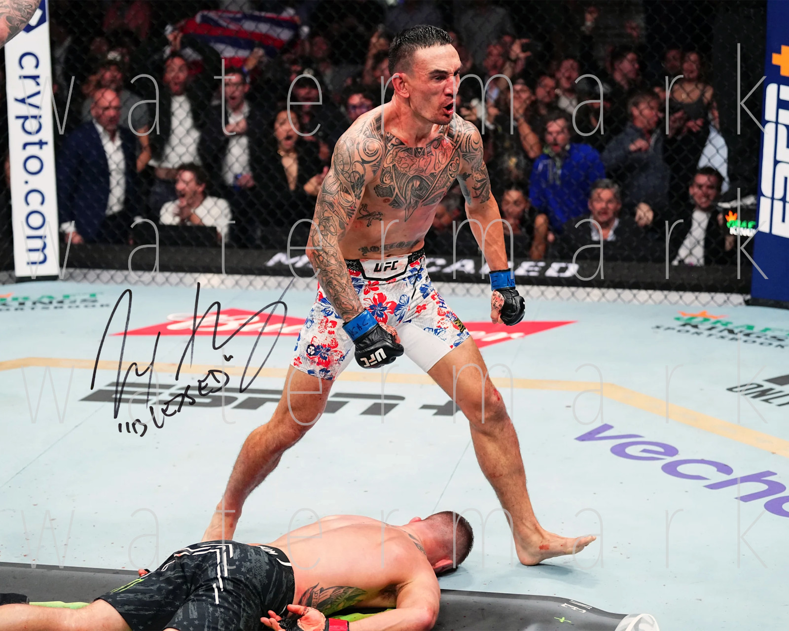 Max Holloway signed UFC MMA 8X10 poster photo print picture autograph RP