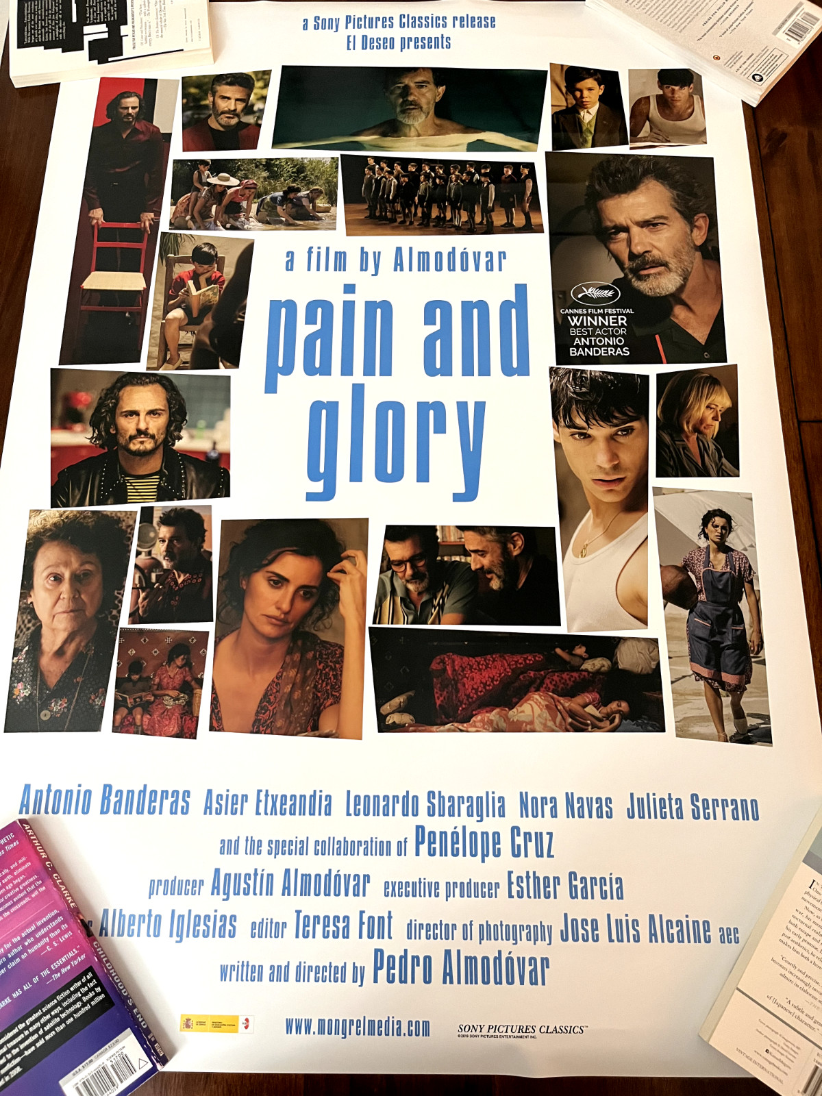 PAIN AND GLORY Original Movie Theater Poster, One 1 Sheet 27×39, Dolor y Gloria