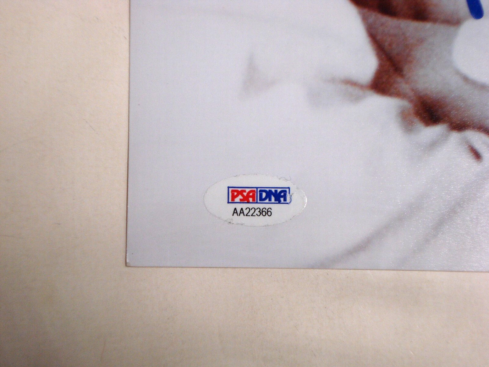 BRAD PITT PSA/DNA CERTIFIED AUTHENTIC SIGNED 11X14 PHOTOGRAPH AUTOGRAPH SEVEN