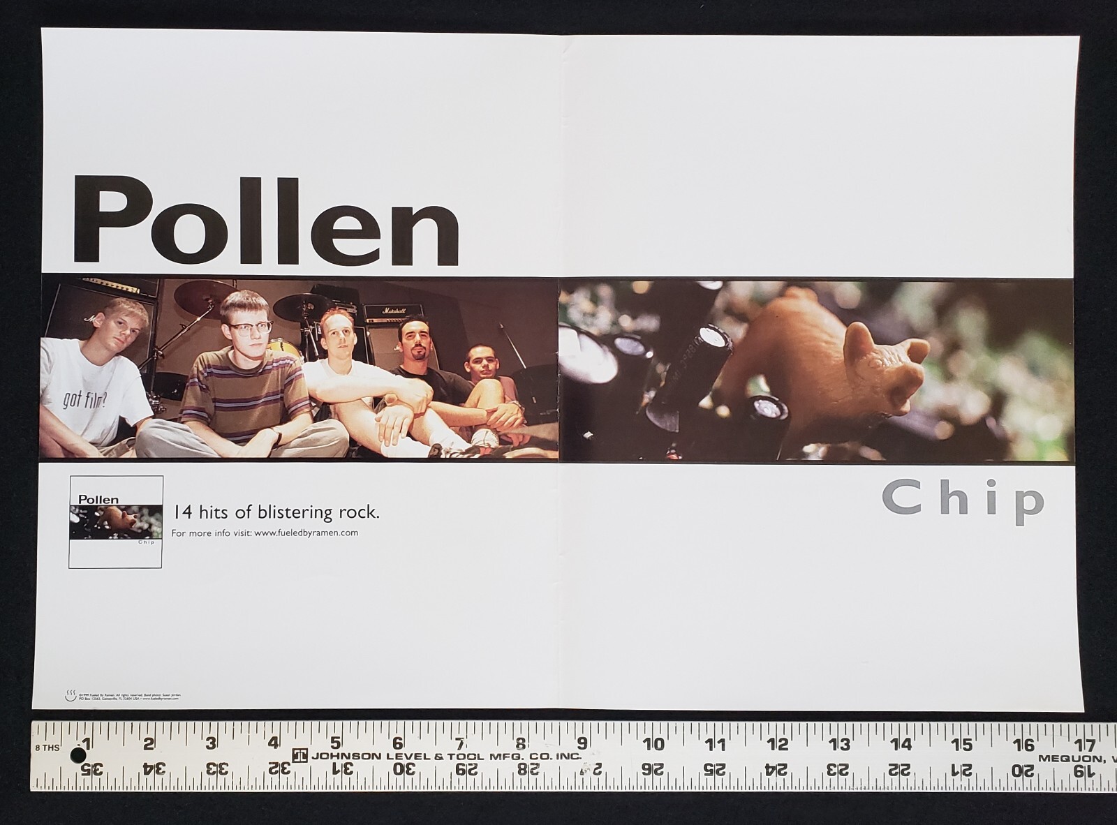 Pollen Chip RARE Original 1999 11×17 Fueled By Ramen Record Label Promo Poster