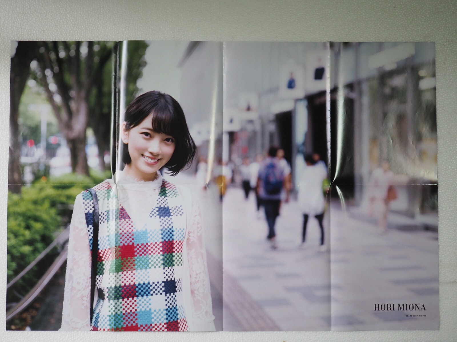 Pin-up Poster, Double sided , HORI MINONA, ETO MISA, Ey7203