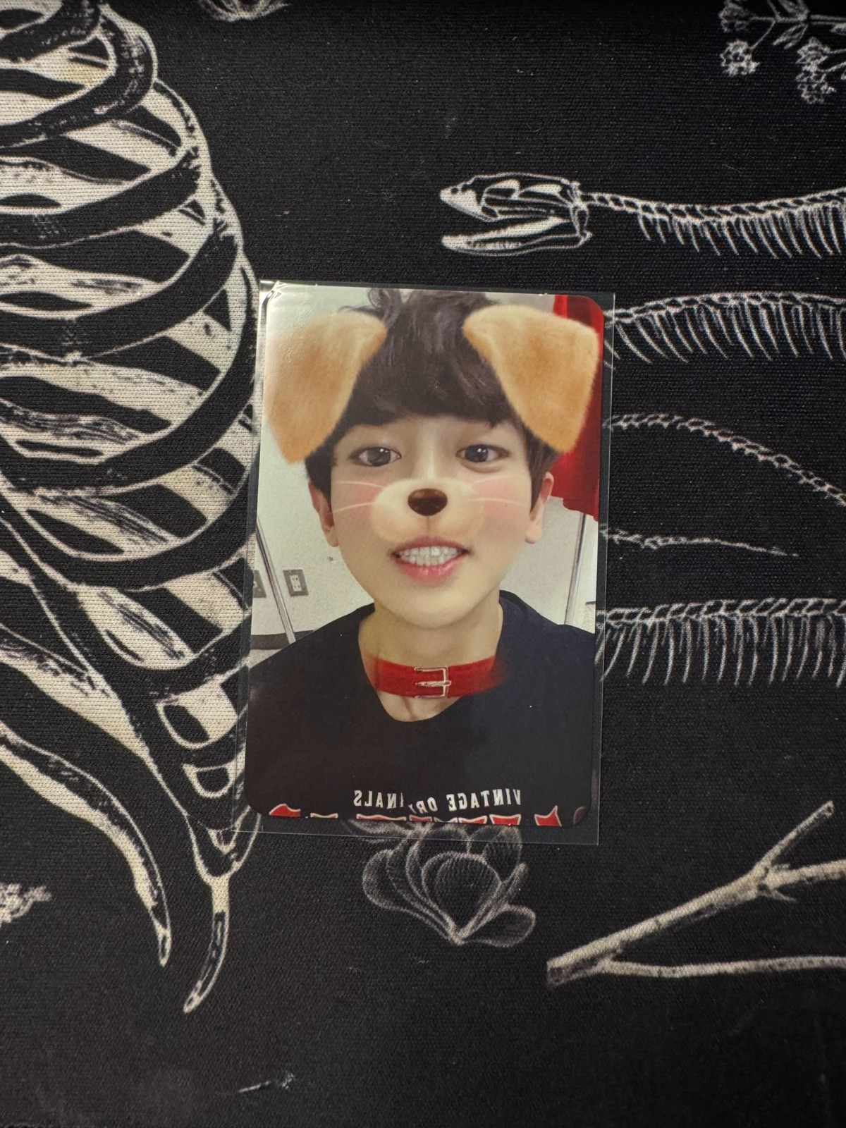 EXO 4th Album Repackage The War: The Power of Music Chanyeol Photo Card