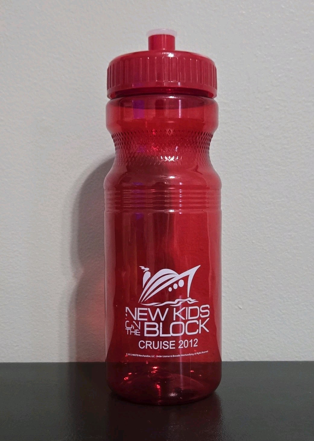 New Kids On The Block Cruise 2012 Water Bottle