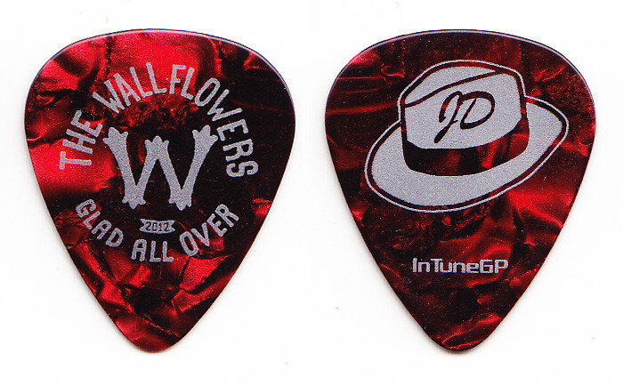 Wallflowers Jakob Dylan Red Pearl/Silver Guitar Pick – 2012 Glad All Over Tour