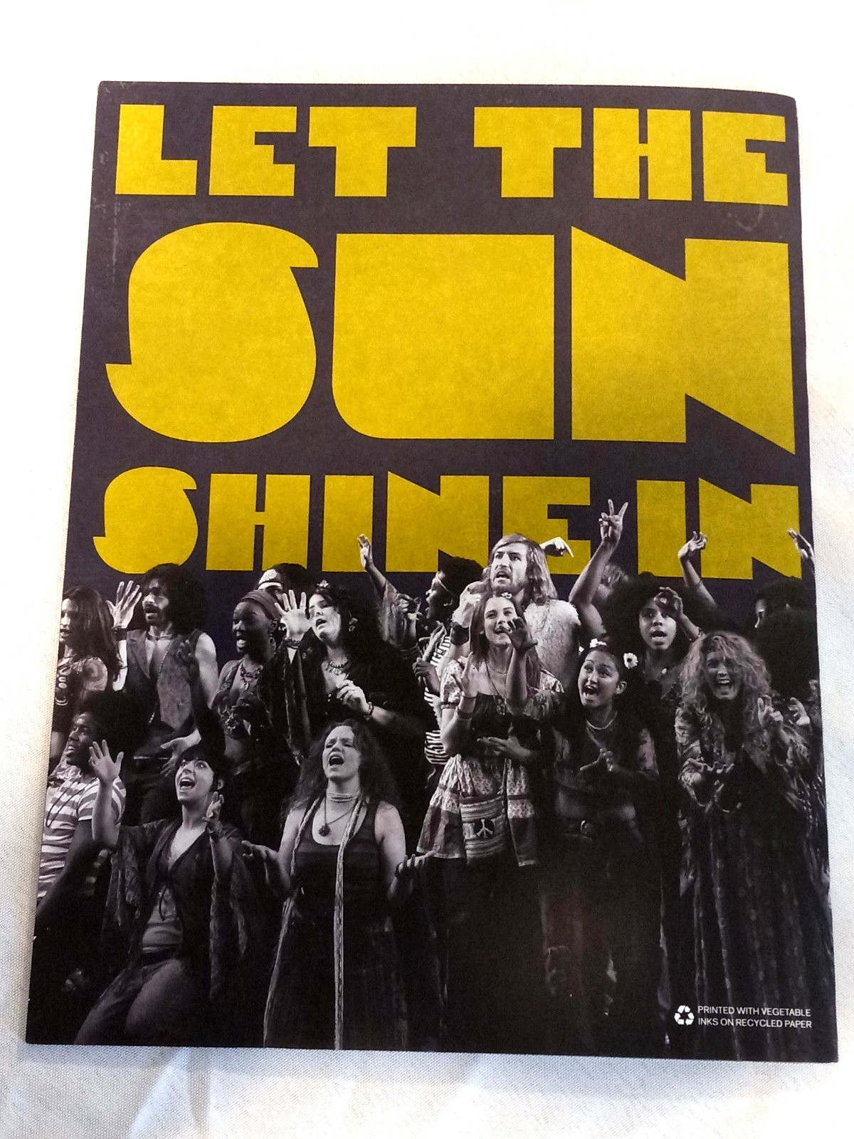 HAIR 2009 Revival NYC Public Theater Program Steel Burkhardt New w/insert