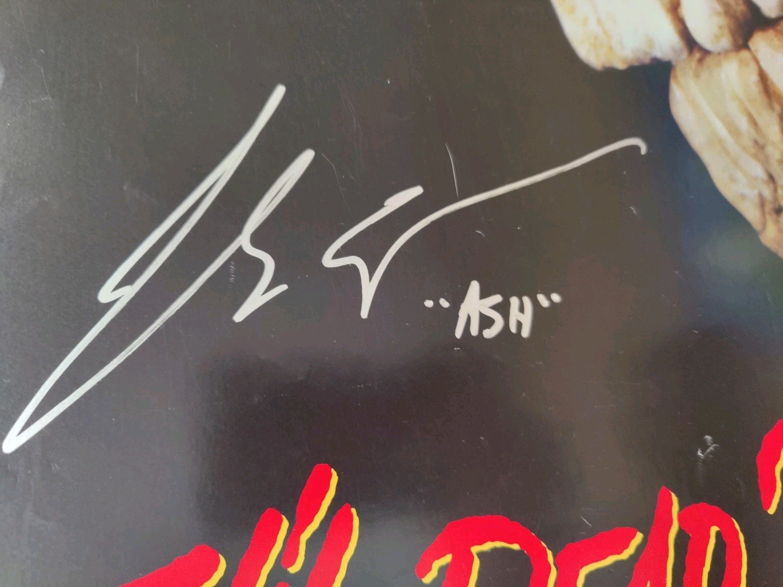 EVIL DEAD 2 Poster 27×41 Signed 5x Bruce Campbell Tony Gardner Raimi 1987 Auto