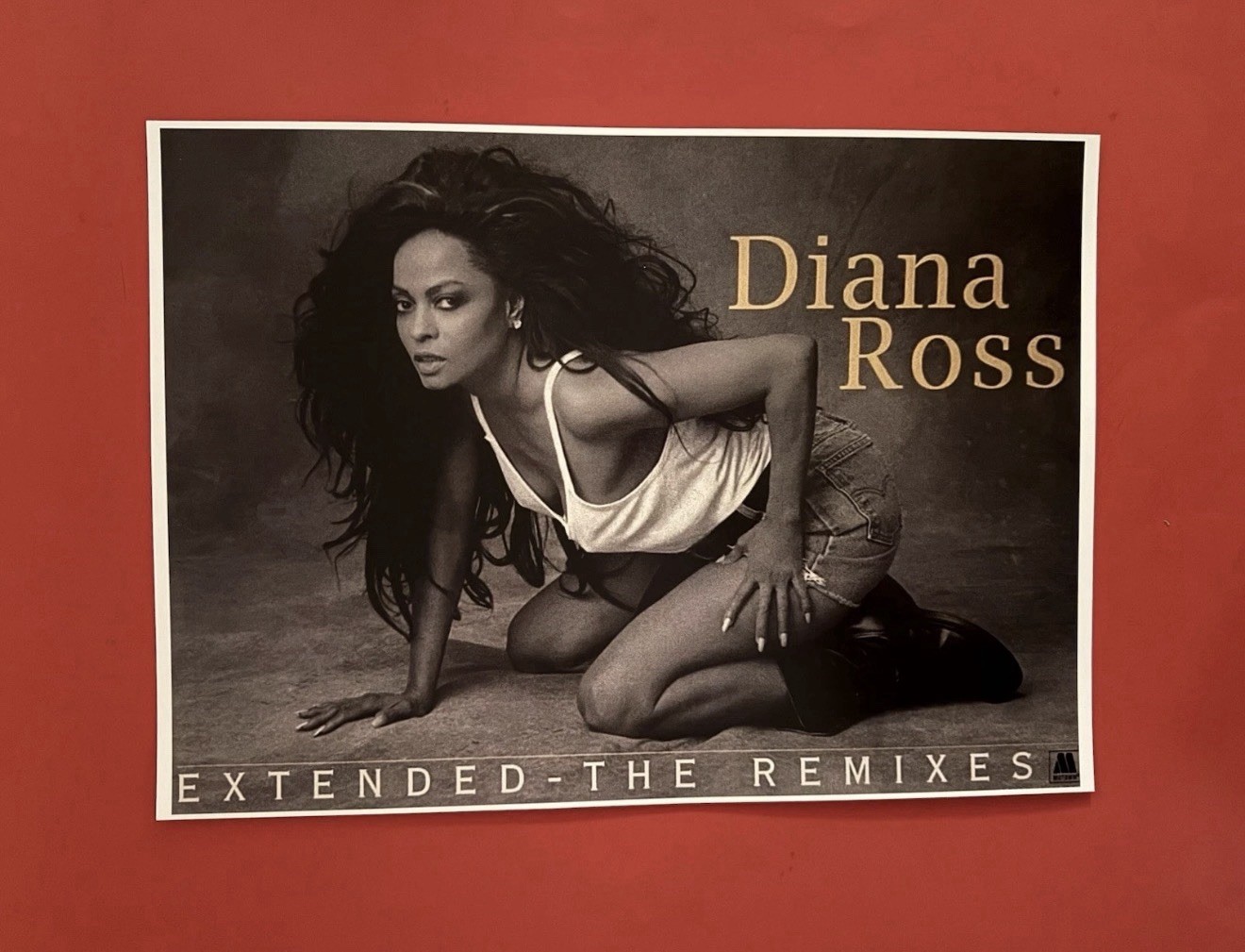 DIANA ROSS & EXTENDED REMIXES 12 X 18 PROMOTIONAL POSTER FREE SHIPPING