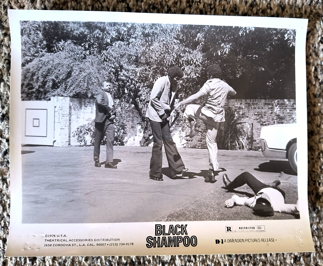 Black Shampoo Original B&W Photo BLAXPLOITATION John Daniels FRED D. SCOTT 1976