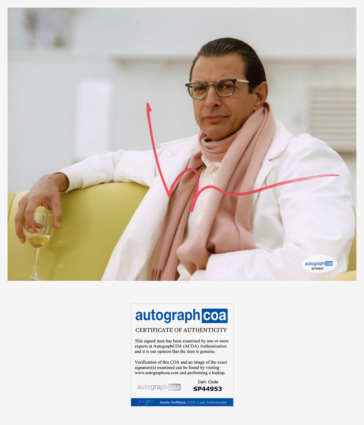 Jeff Goldblum signed Autographed 8×10 Photo a JURASSIC PARK Cool Sexy ACOA COA