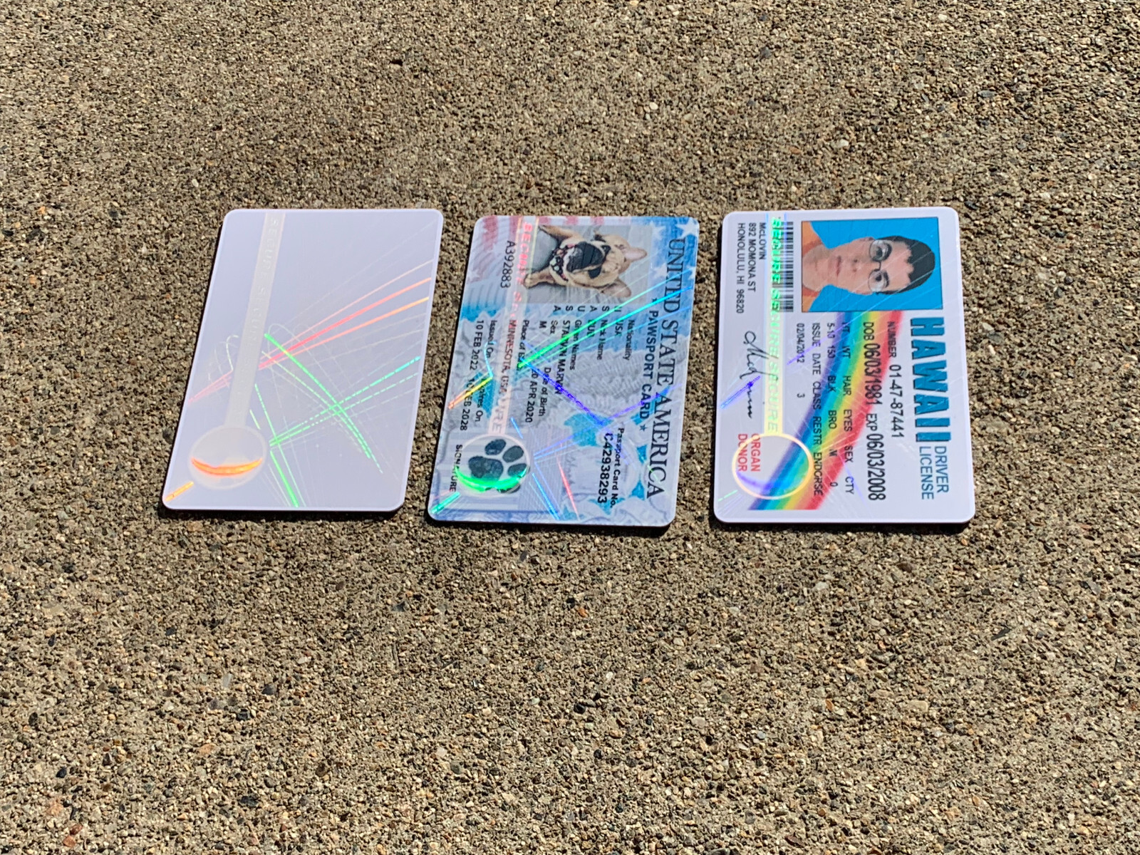 Hologram Overlays – Web & Earth ID Card Teslin / 100 pack / PVC ID CARD
