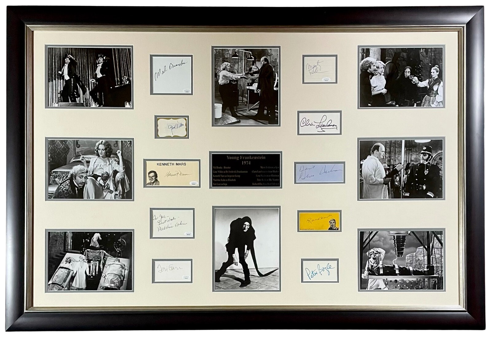 YOUNG FRANKENSTEIN Signed Autograph CAST FRAMED PHOTOS 36×53 HACKMAN HAYDN JSA