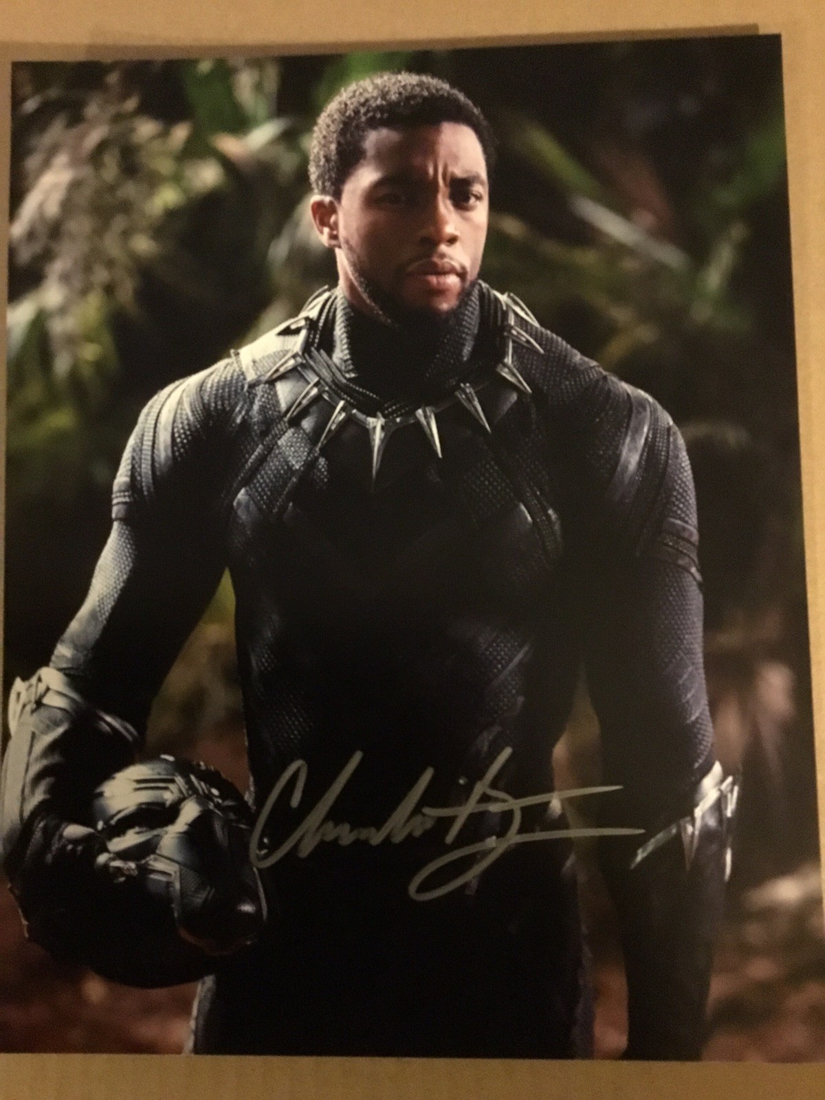 Chadwick Boseman (1976-2020) signed Black Panther 8 X 10 Photo with COA !