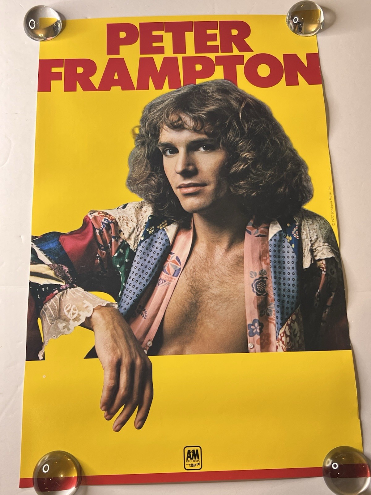 Peter Frampton I’m In You 1977 Promo Poster A&M Records 14 x 22 Unhung