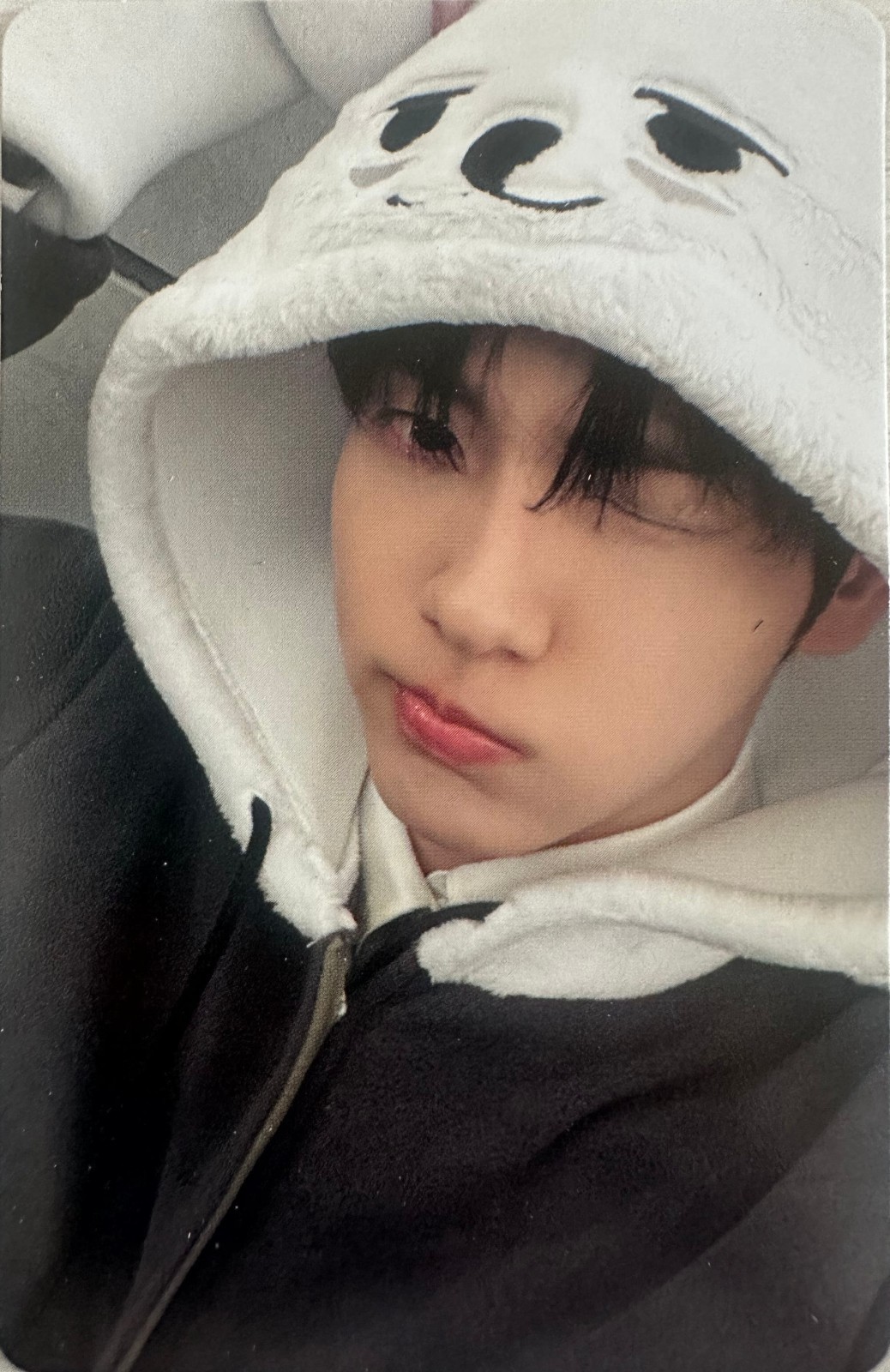 TXT Ppulbatu Photocard Weverse 7th Anniversary Official PC Select Member