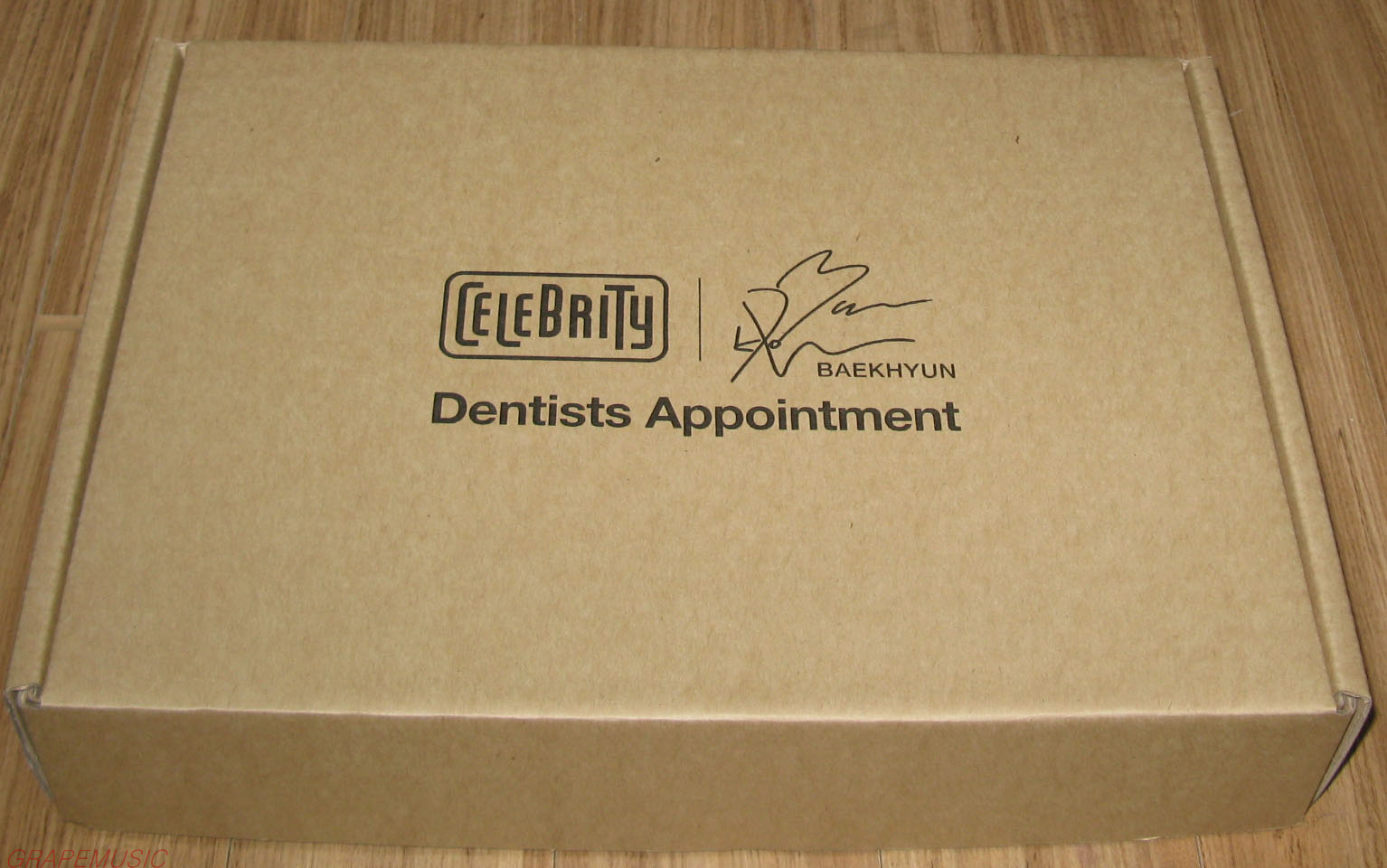 EXO THE CELEBRITY X EXO BAEKHYUN X DENTISTS APPOINTMENT DOG STARDIUM JUMPER NEW