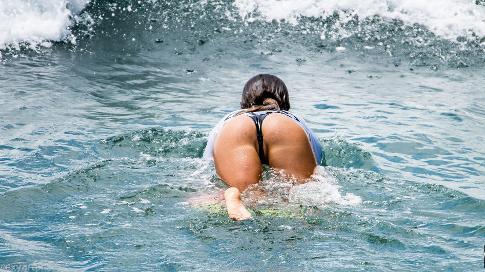A Surfer Girl Getting In Water 8×10 Picture Celebrity Print