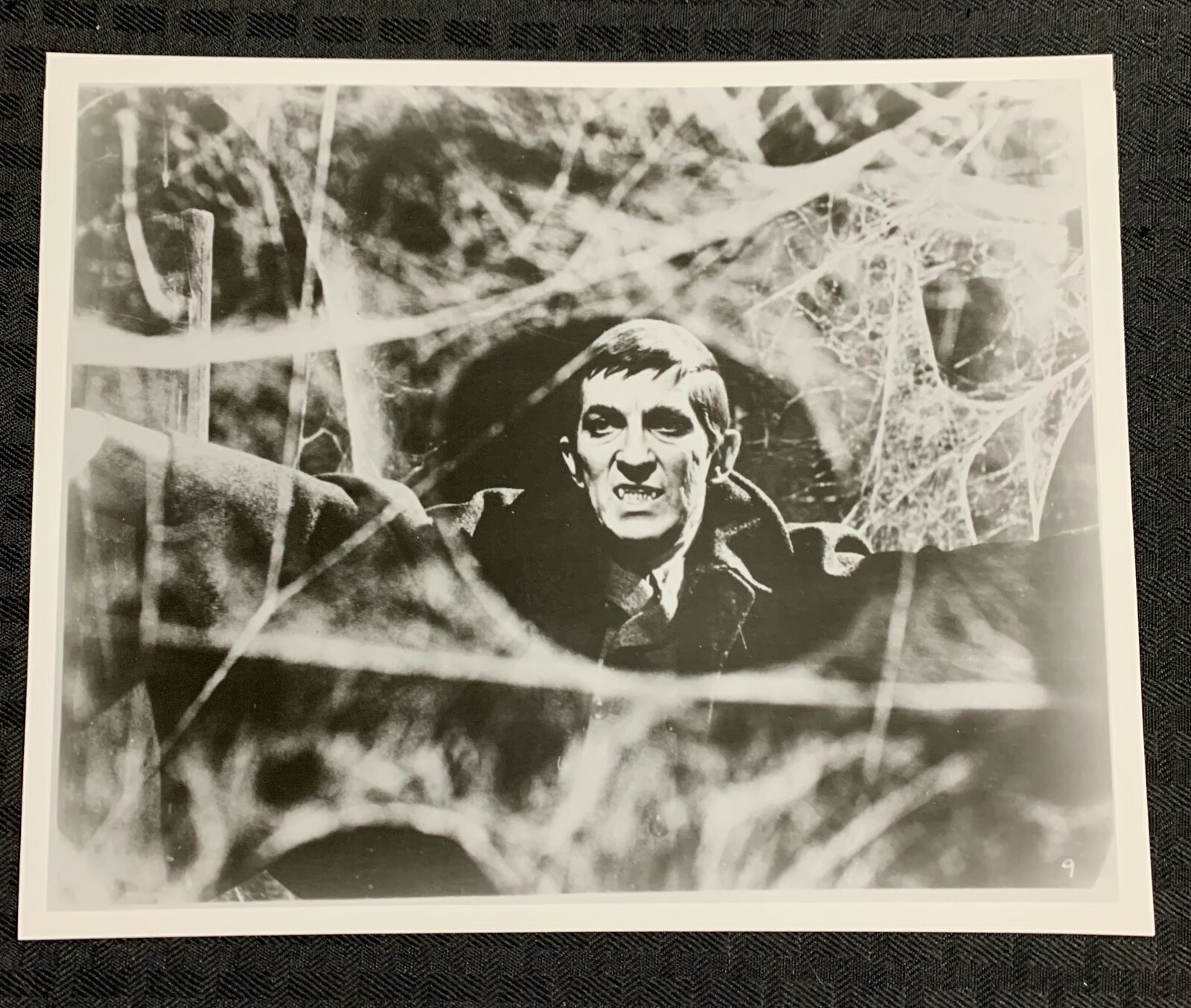 DARK SHADOWS 8×10″ Black & White Photo #19 VF+ 8.5 Barnabas Collins & Cobwebs