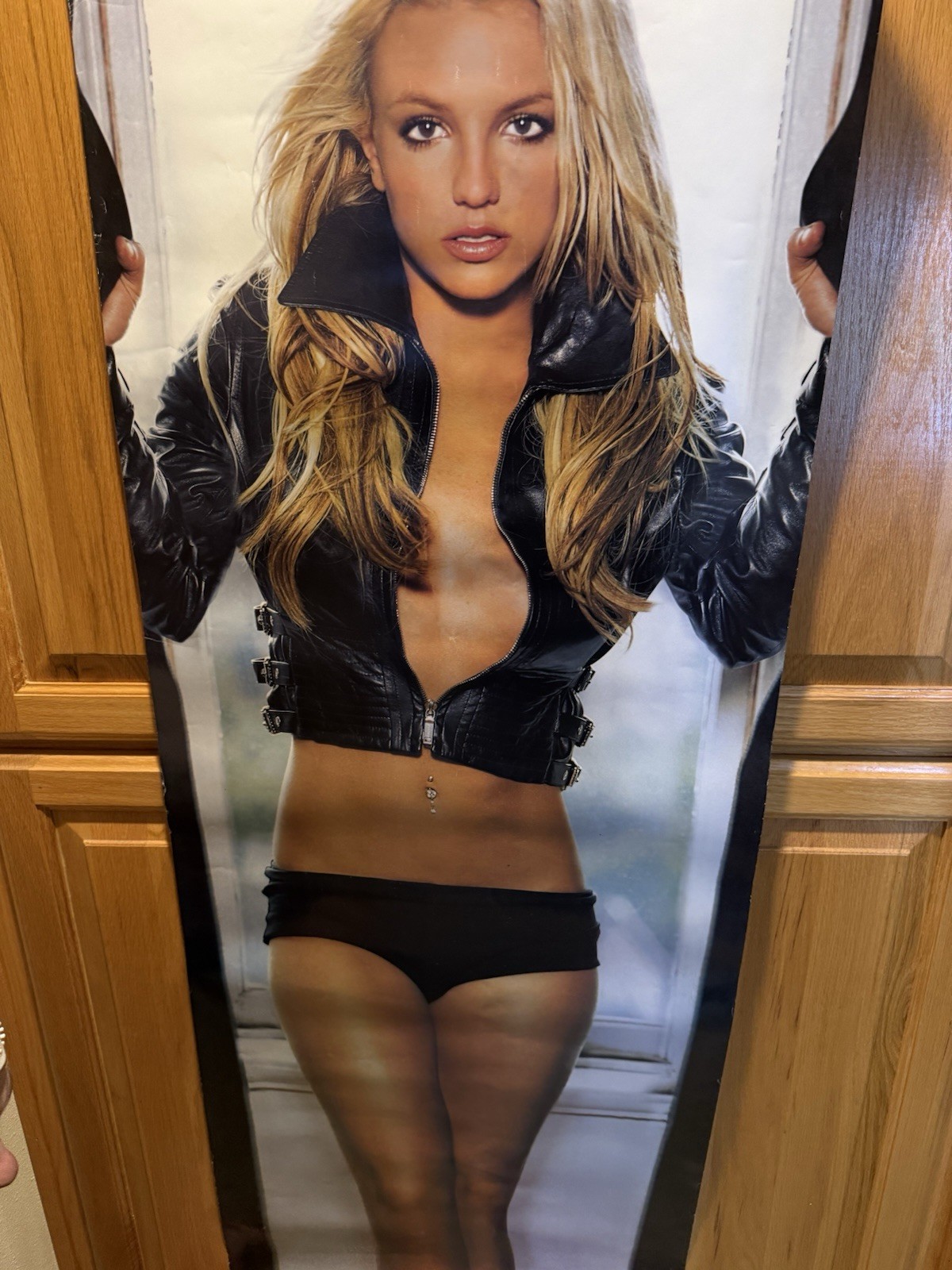Britney Spears RARE Huge Door Poster 21″ x 62″ 2003 In The Zone Era #D110 Funky