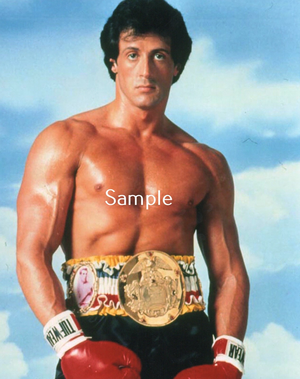 Sylvester Stallone Rocky 8×10 Poster Print Picture SS6