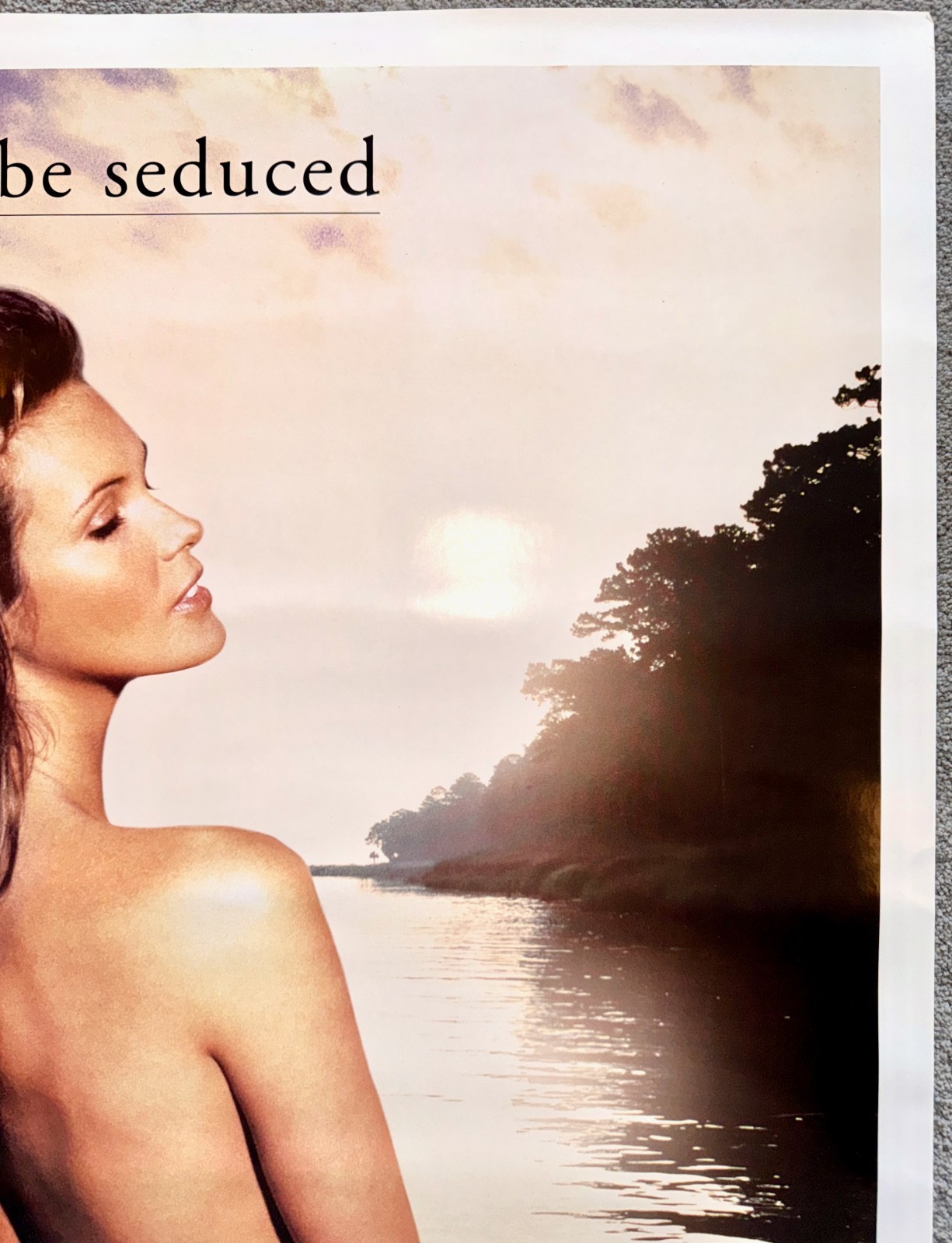 ELLE MACPHERSON Sexy naked SIRENS (1994) teaser 41×27 (D) 1 sheet Near Mint roll