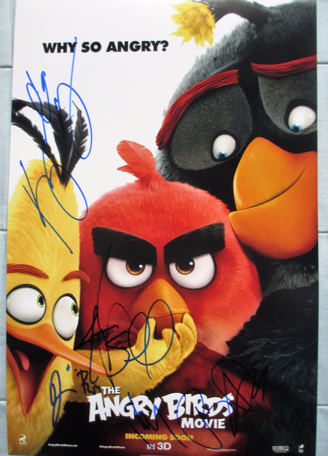 THE ANGRY BIRDS MOVIE CAST SIGNED 11X17 PHOTO JASON SUDEIKIS JOSH GAD 6+ DC/COA