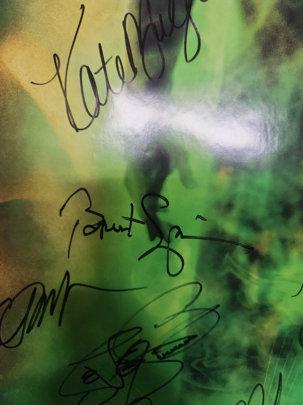 Star Trek Nemesis Orignal Poster 27×40 Mulgrew Stewart Burton Cast Signed X9