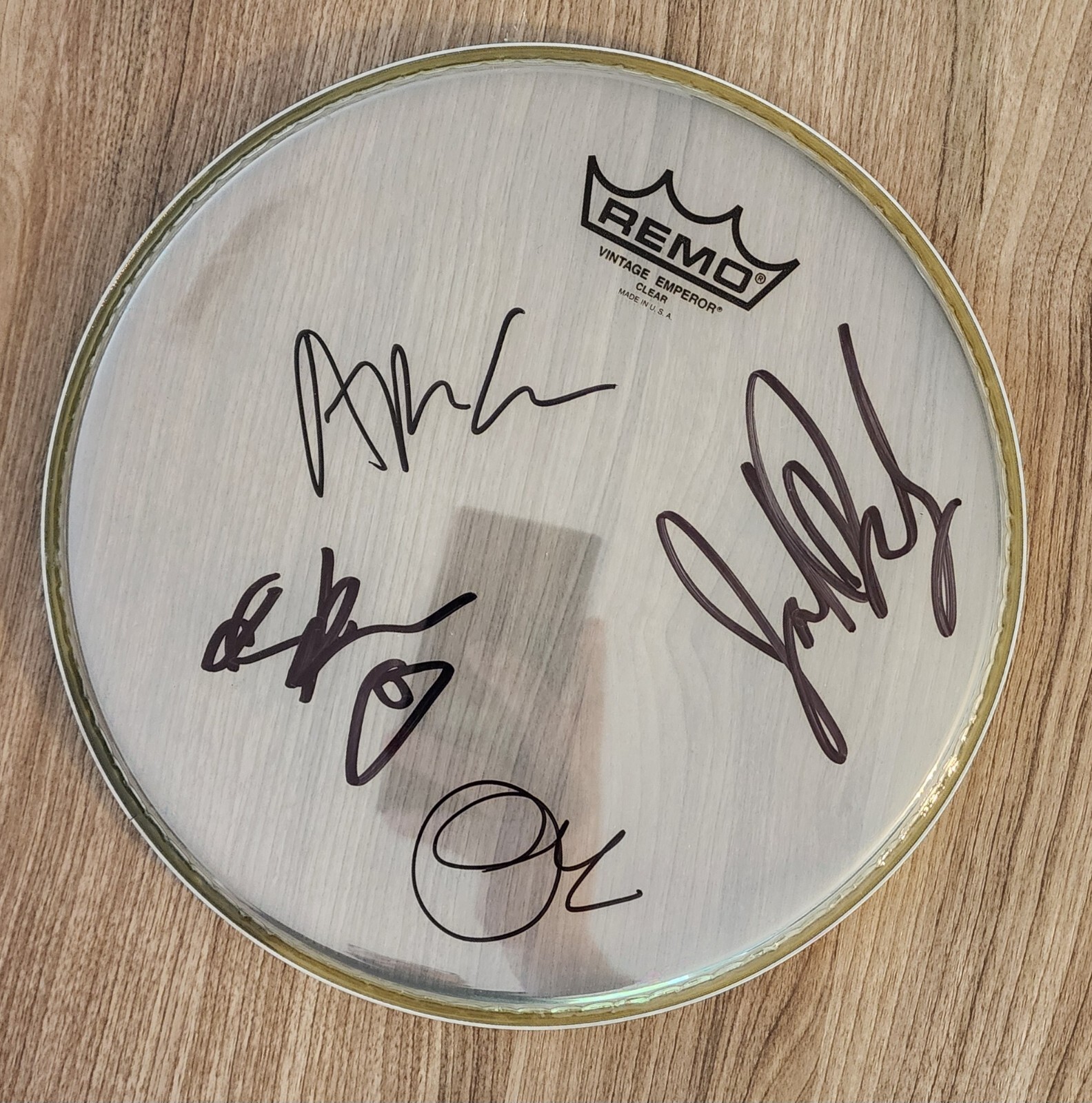 Spin Doctors Band Signed 10″ Drumhead Drum Head Chris Barron +3 LEGENDS RAD