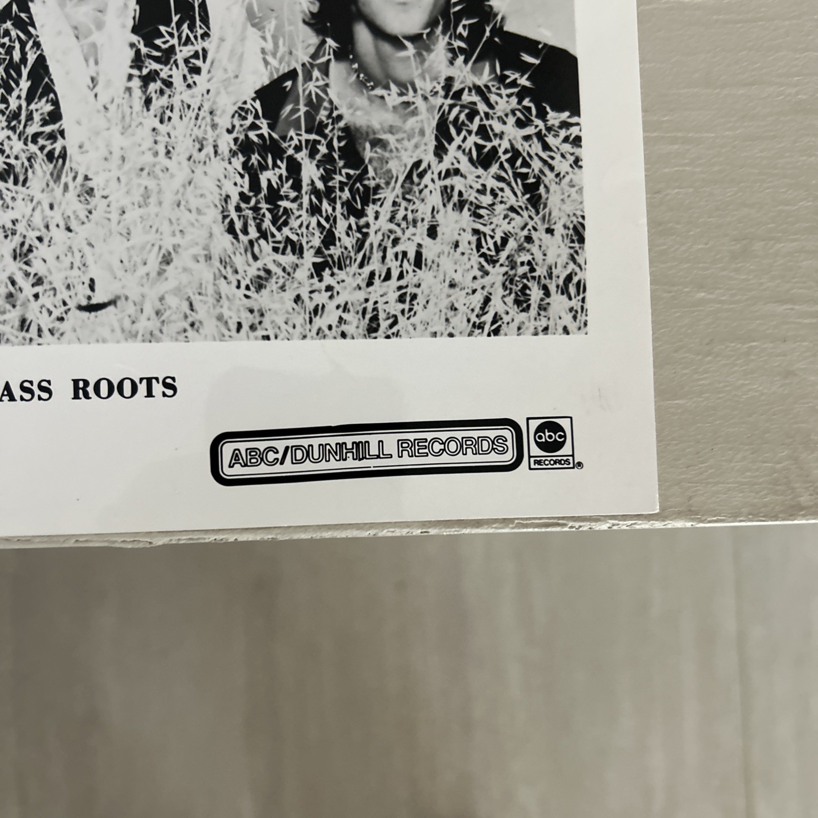 The Grass Roots Publicity Promo Photo Vintage 1970 ABC/ Dunhill Records