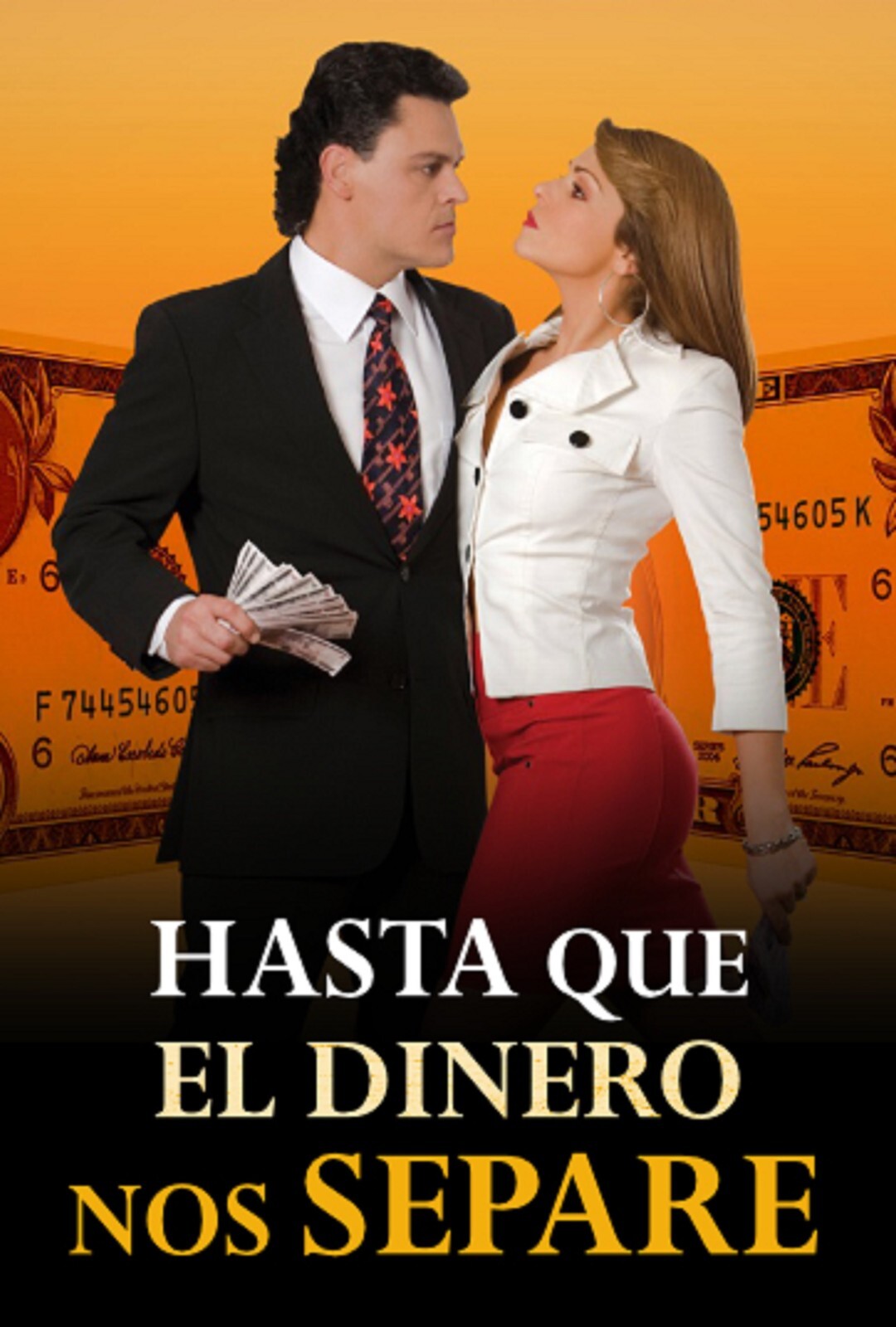 SERIE MEXICO, HASTA QUE EL DINERO NOS SEPARE , 57 DVD, 227 CAPITULOS, 2009