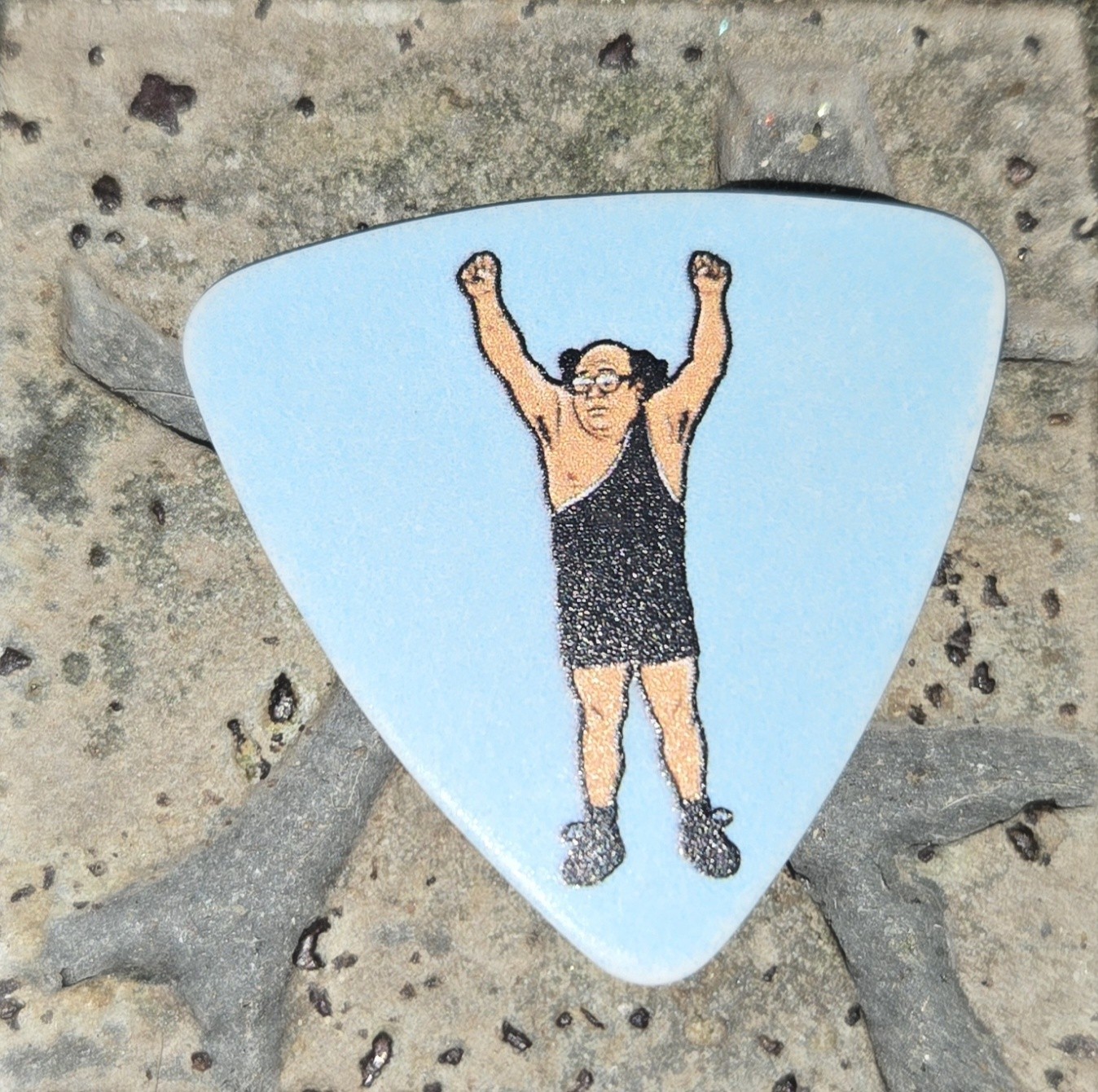 The Chicks Guitar Pick Jackson Slade Pasdar Bassist Guitar Pick Natalie’s Son