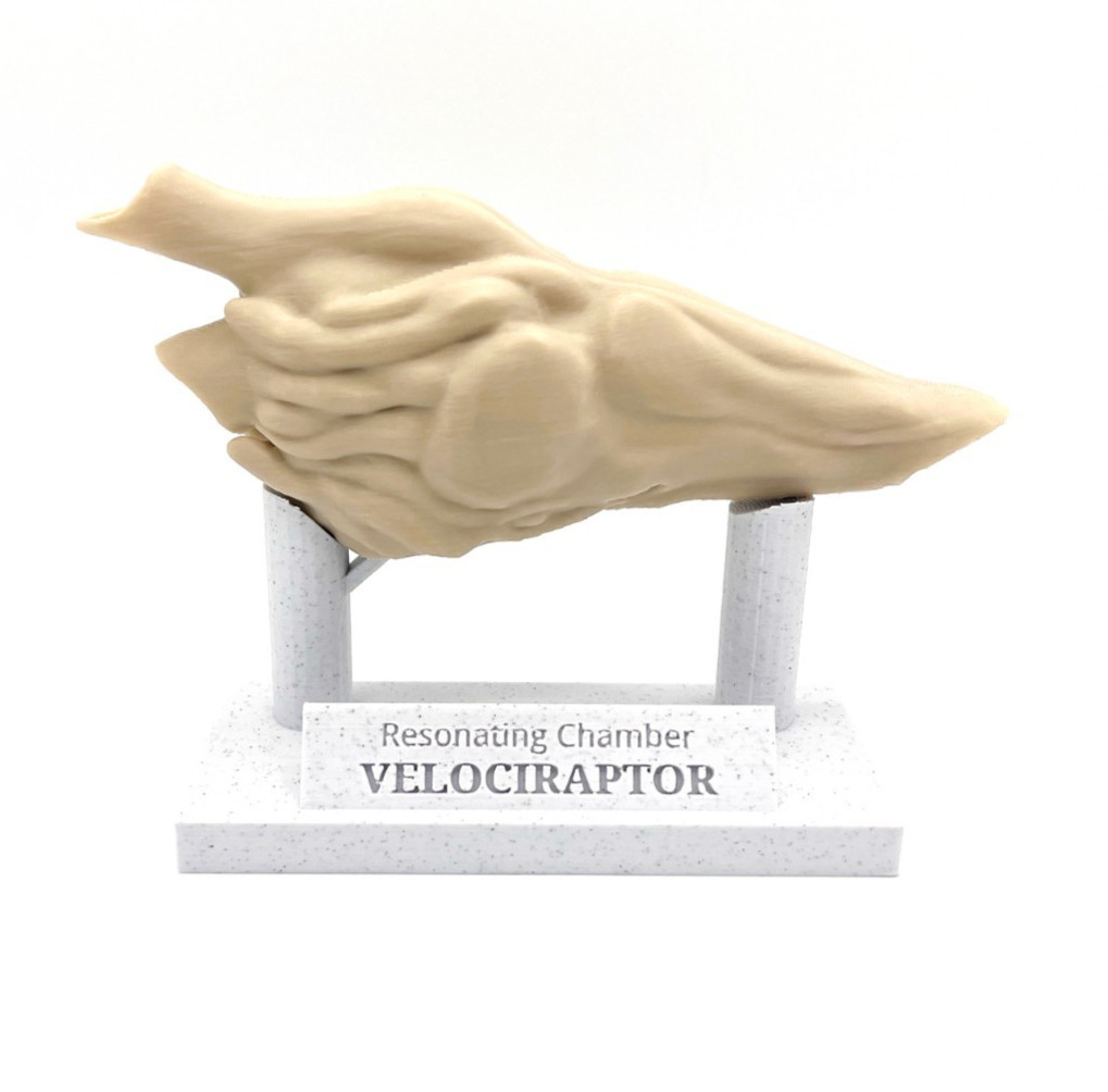 Velociraptor Resonating Chamber (Functional ) Prop Replica | Aztec Death Whistle
