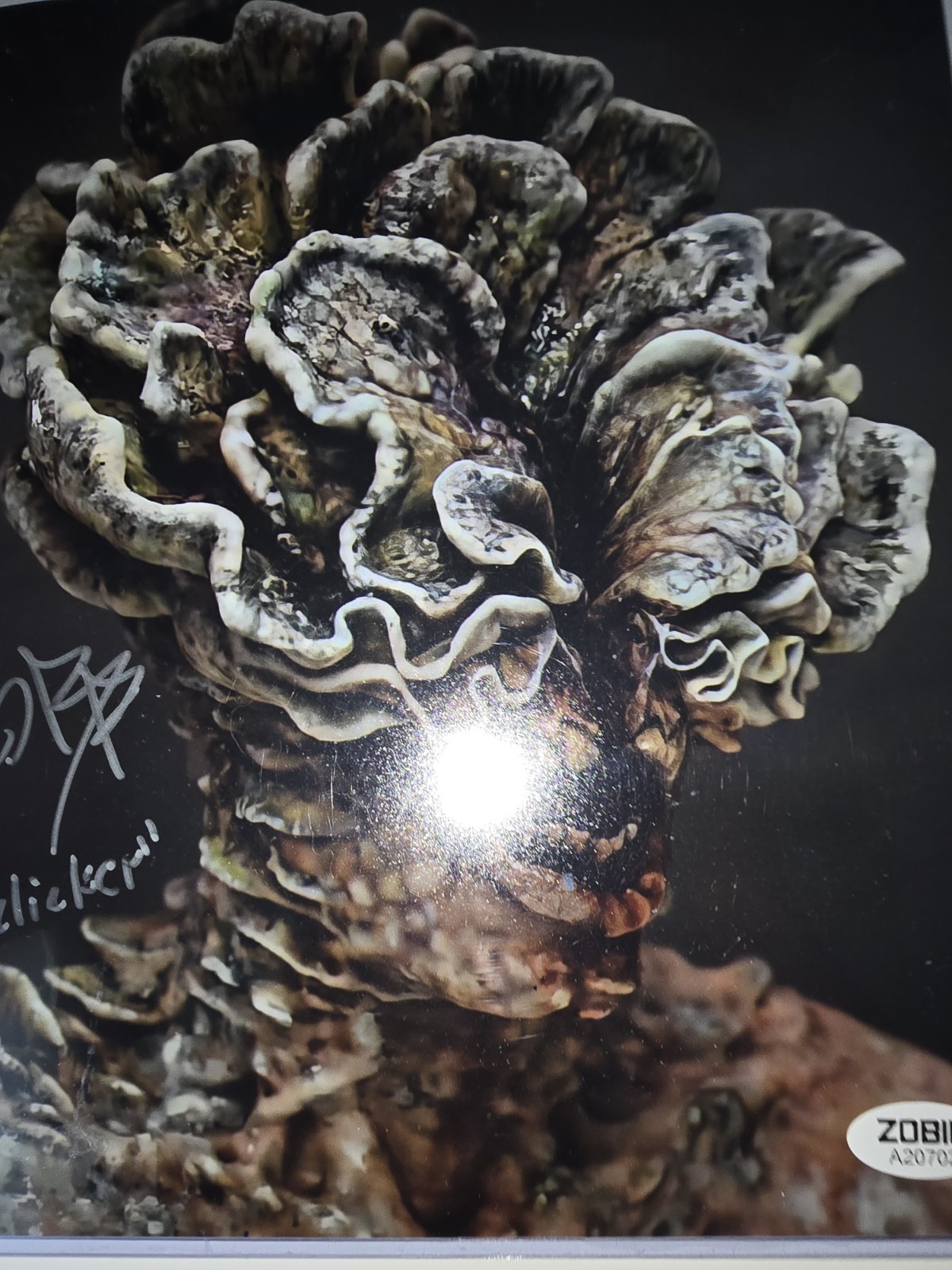Oliver Ross-Parent The Last of Us “Clicker” Signed Autograph 8×10 Zobie CoA