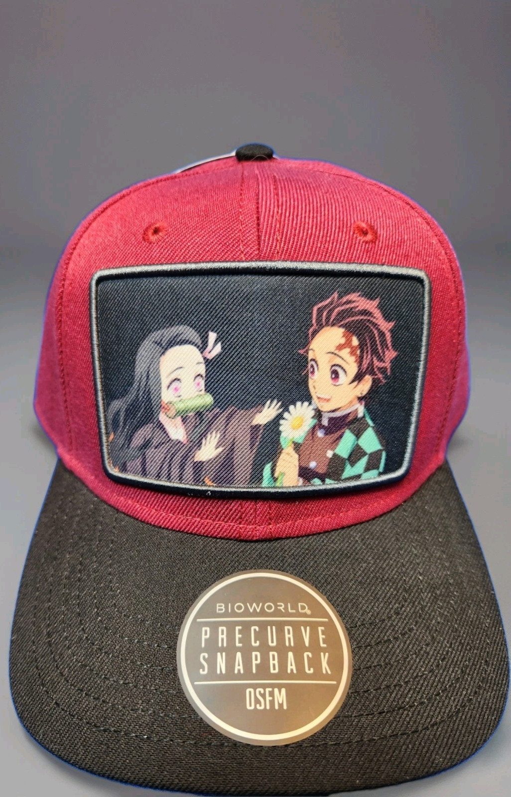Demon Slayer Tanjiro & Nezuko Snap-back Baseball Style Hat Cap Bioworld New Tag