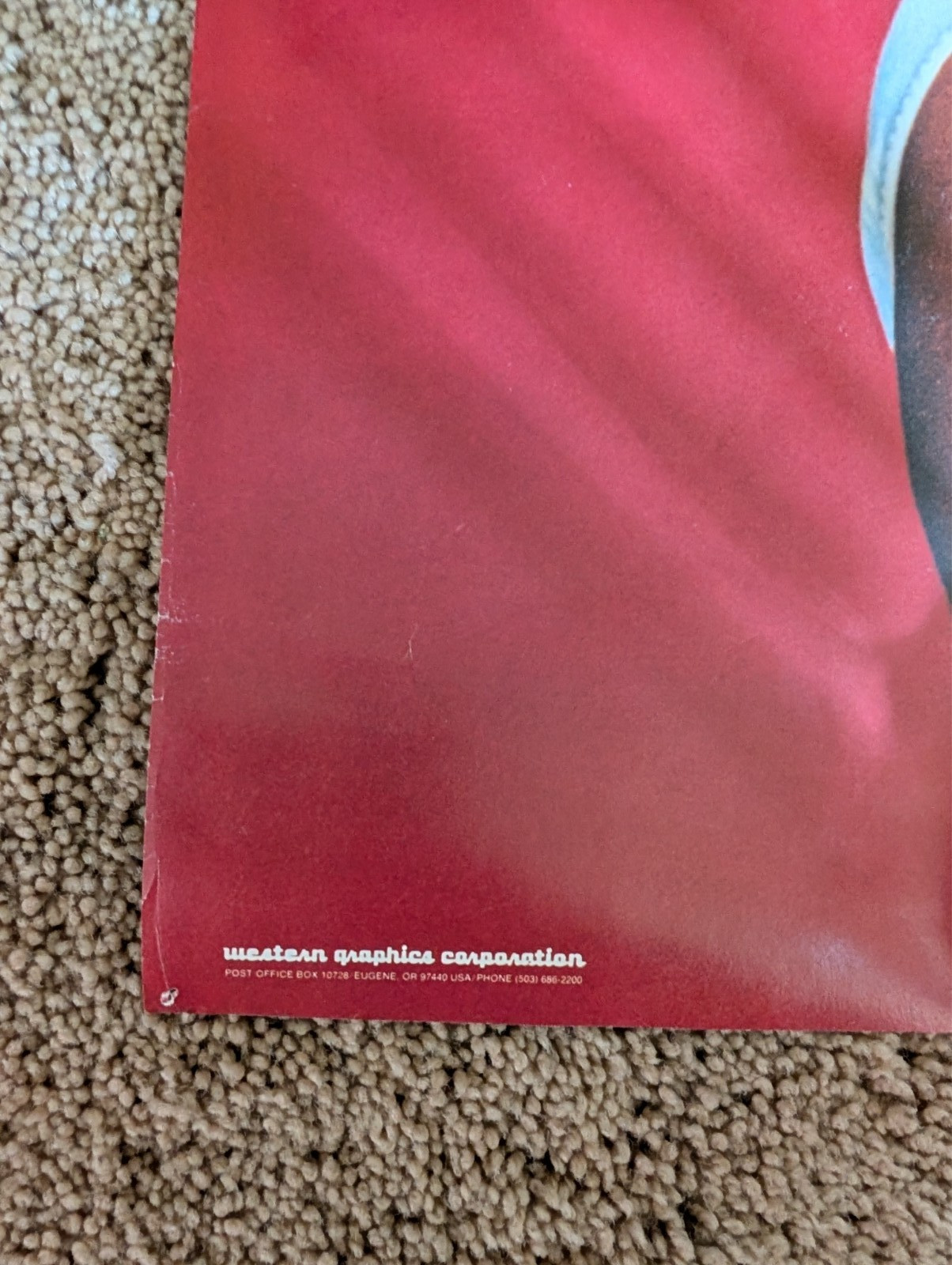Western Graphics Loni Anderson Bikini & Dargis Swimsuit 21″ x 32″ Posters 1978